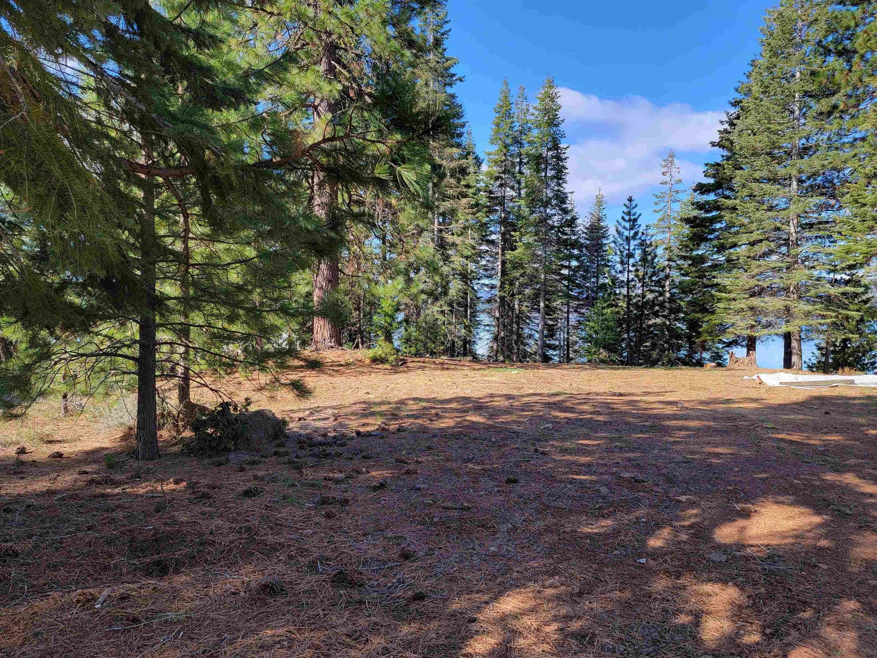 3. Land for Active at 945 Lassen View Drive Lake Almanor, California 96137 United States