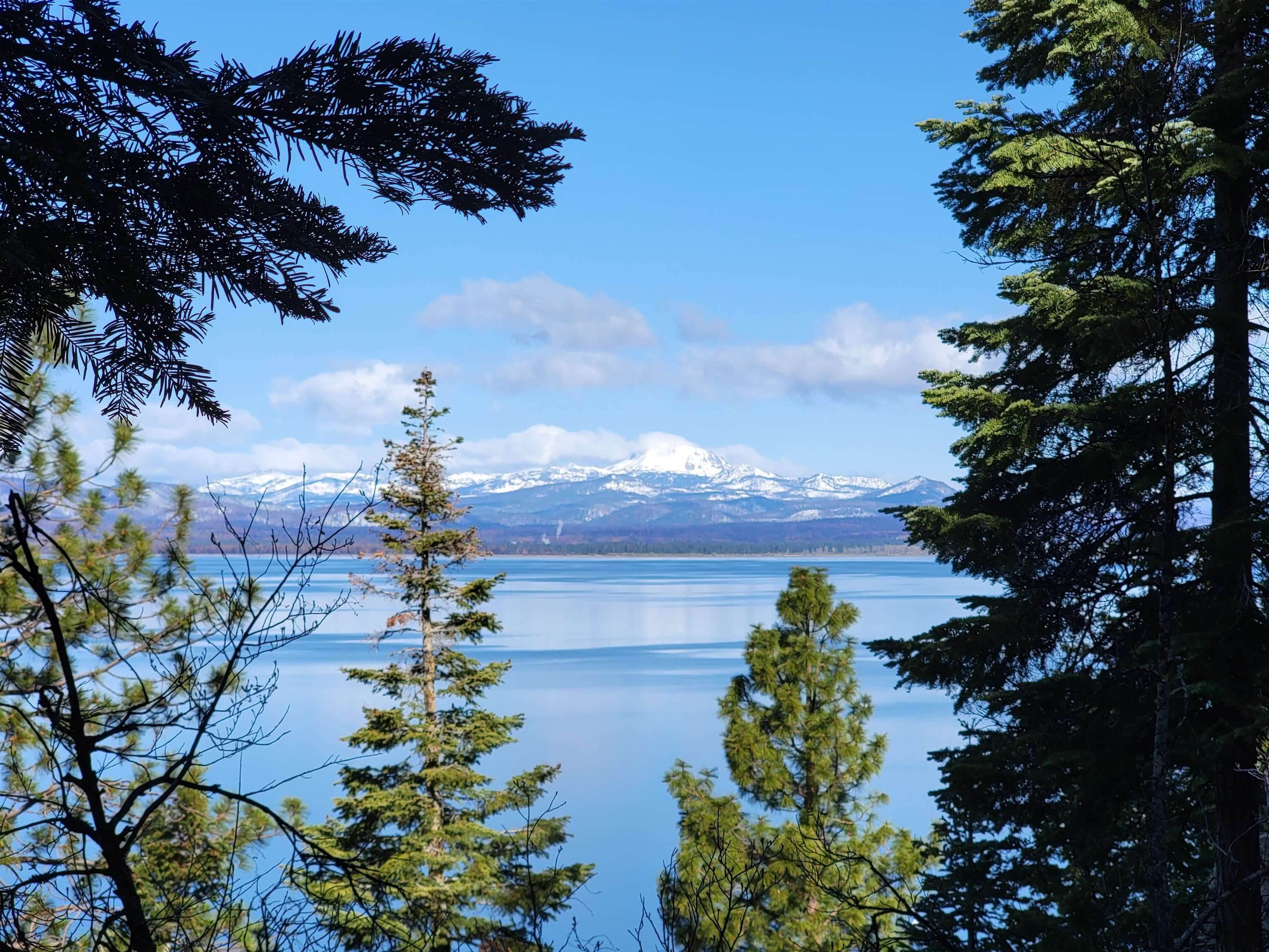 7. Land for Active at 945 Lassen View Drive Lake Almanor, California 96137 United States