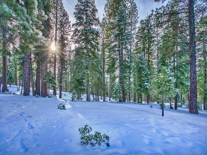 Residential Lot at 742 Conifer Truckee, California 96161 United States