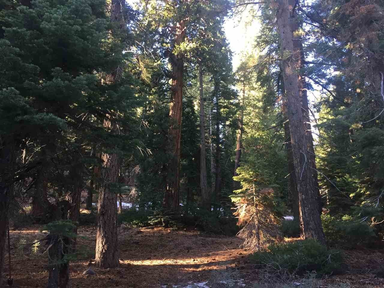 2. Residential Lot at 350 Cyrnos Way Tahoe City, California 96145 United States