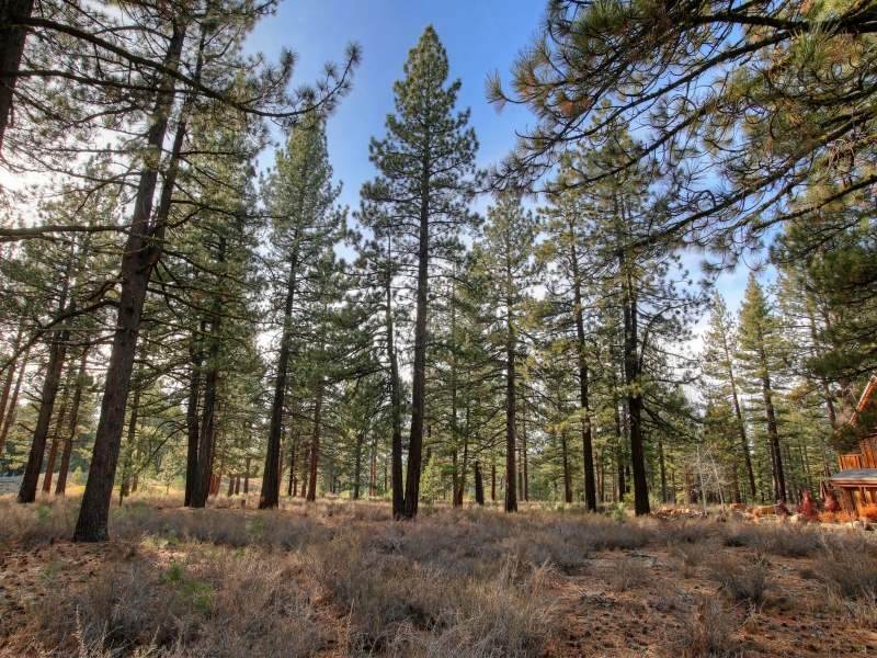 13. Residential Lot at 12666 Caleb Drive Truckee, California 96161 United States