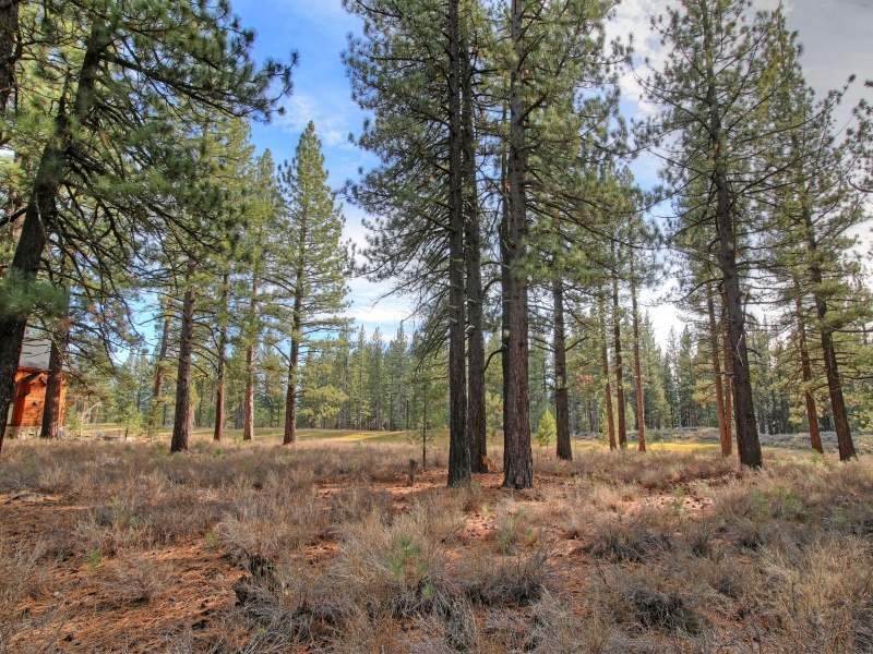 5. Residential Lot at 12666 Caleb Drive Truckee, California 96161 United States