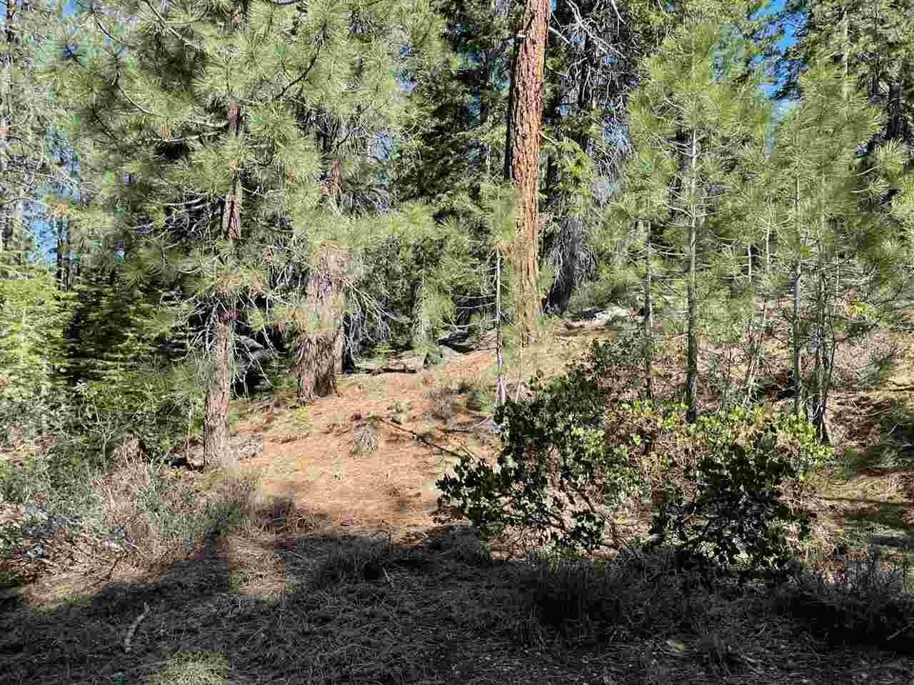 5. Land for Active at 11675 Euer Valley Road Truckee, California 96161 United States