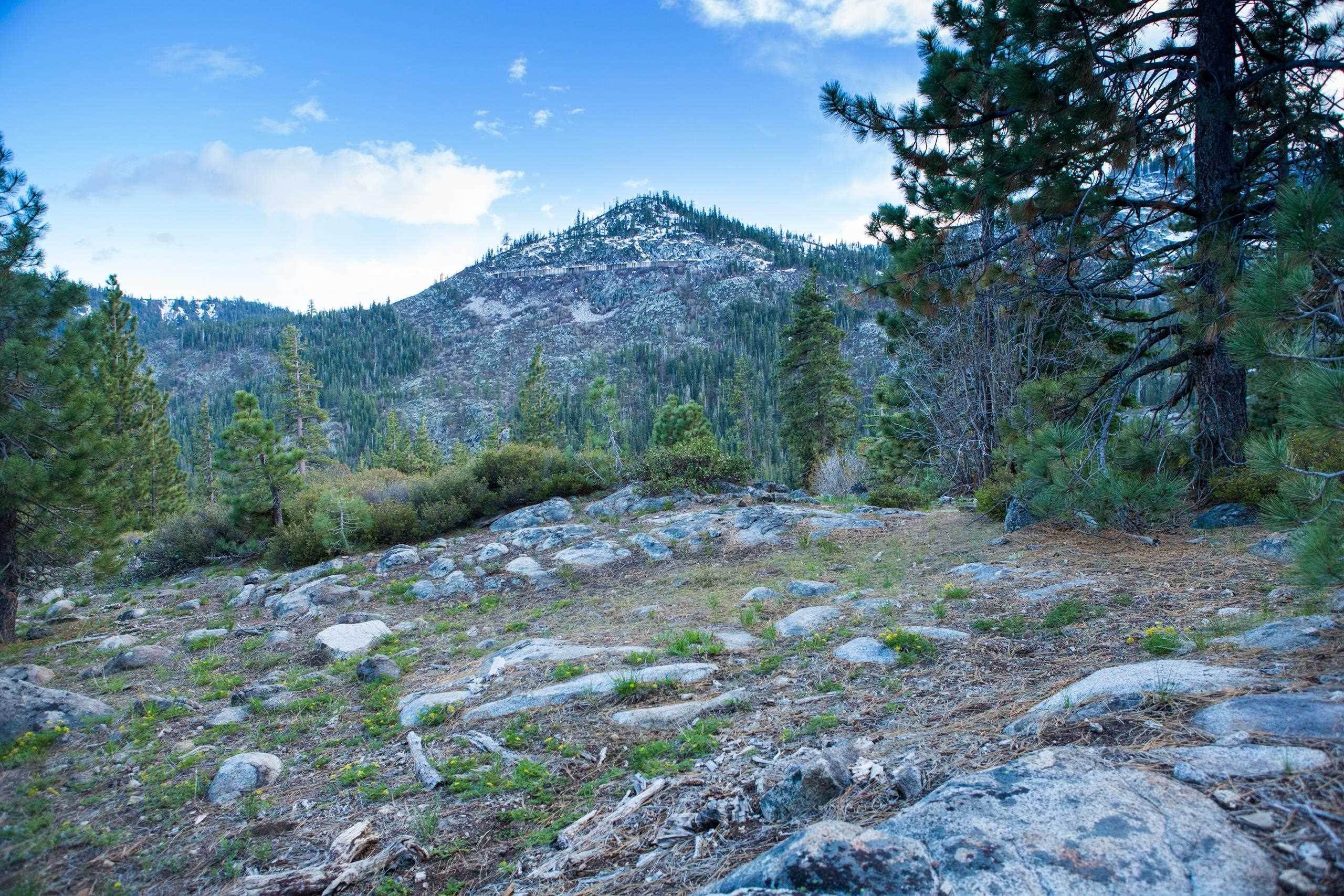 11. Land for Active at 16400 Donner Pass Road Truckee, California 96161 United States