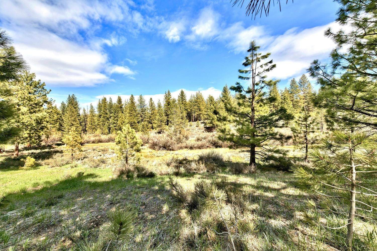 6. Single Family Homes for Active at 10641 Somerset Drive Truckee, California 96161 United States