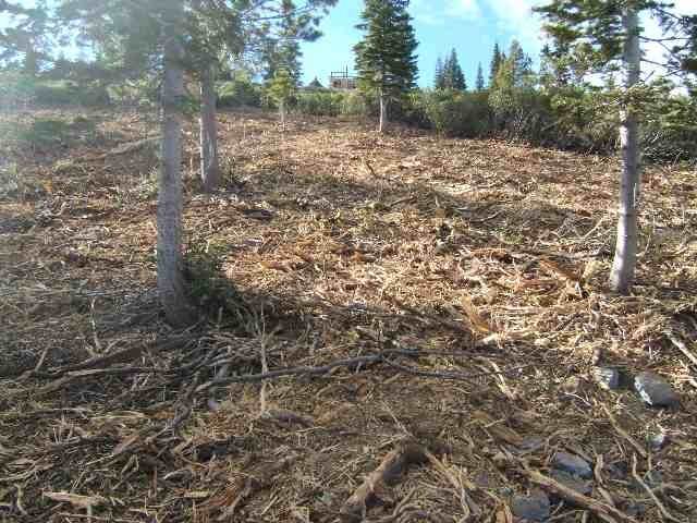 Residential Lot at 14240 Skislope Way Truckee, California 96161 United States