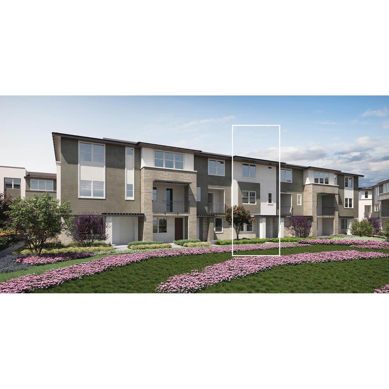 Multi Family for Active at Twin Oaks - Grove - Pampas 1 2000 Mateo Miller Circle SAN RAMON, CALIFORNIA 94583 UNITED STATES