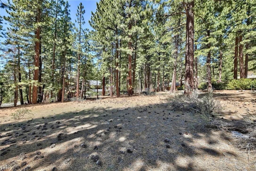 14. Land for Active at 720 Mays Boulevard Incline Village, Nevada 89451 United States