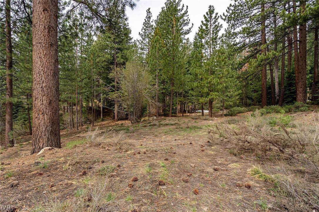 4. Land for Active at 585 Village Boulevard Incline Village, Nevada 89451 United States