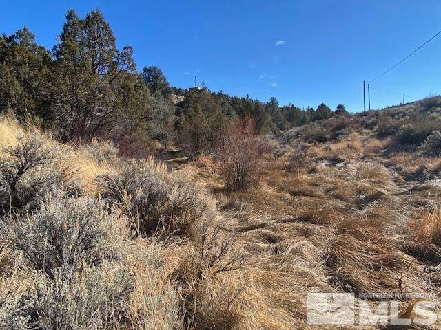 1. Land for Active at TBD Hwy 395 South (106) Gardnerville, Nevada 89410 United States