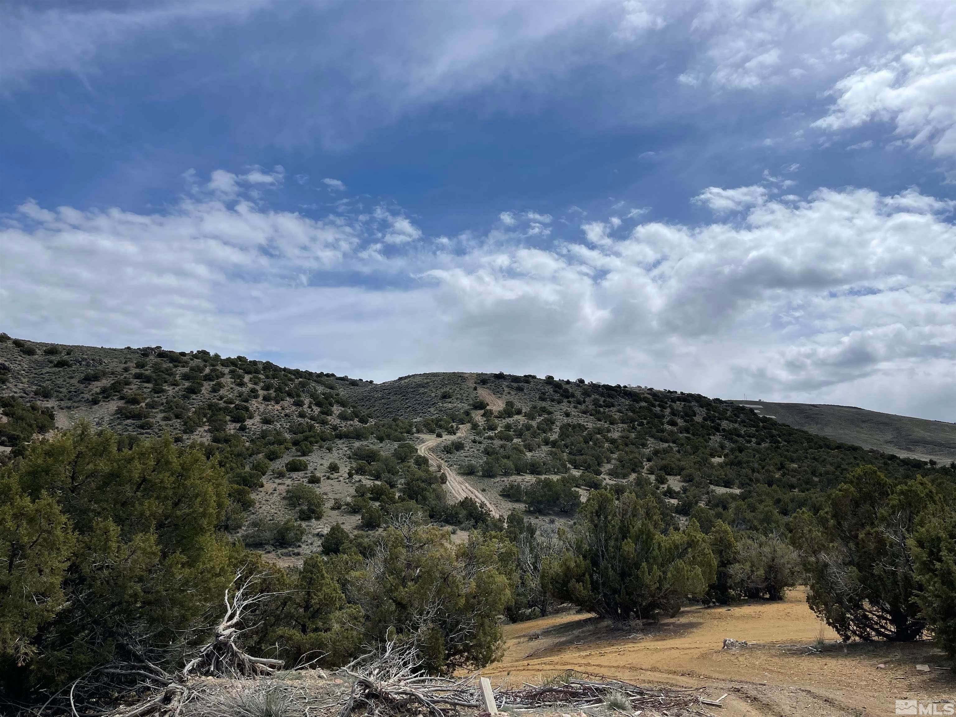 9. Land for Active at 438.663 acres Elko E Mountain Elko, Nevada 89801 United States