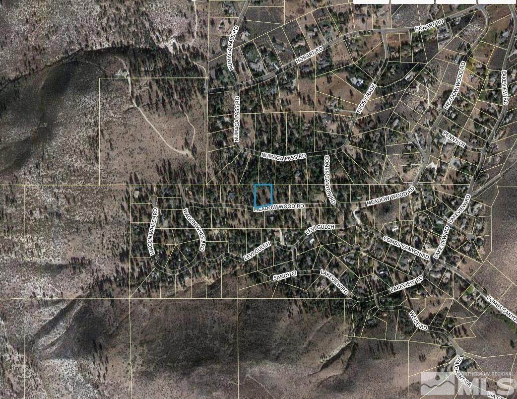13. Land for Active at 4300 Meadow Wood Carson City, Nevada 89703 United States