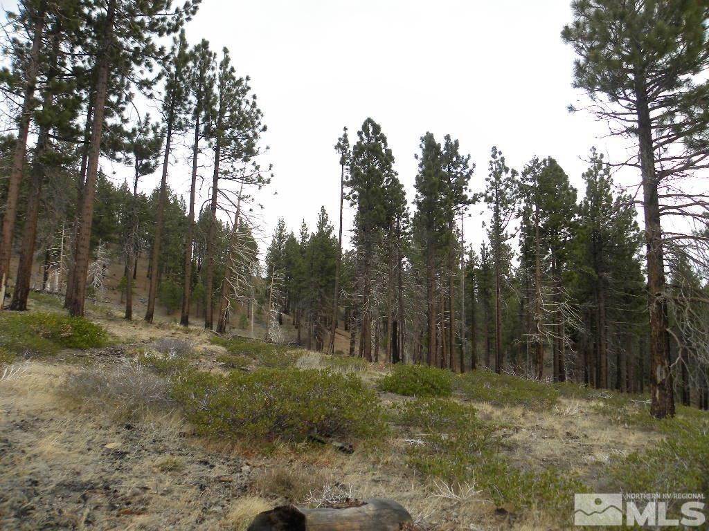 6. Land for Active at Kings Canyon Road Carson City, Nevada 89703 United States