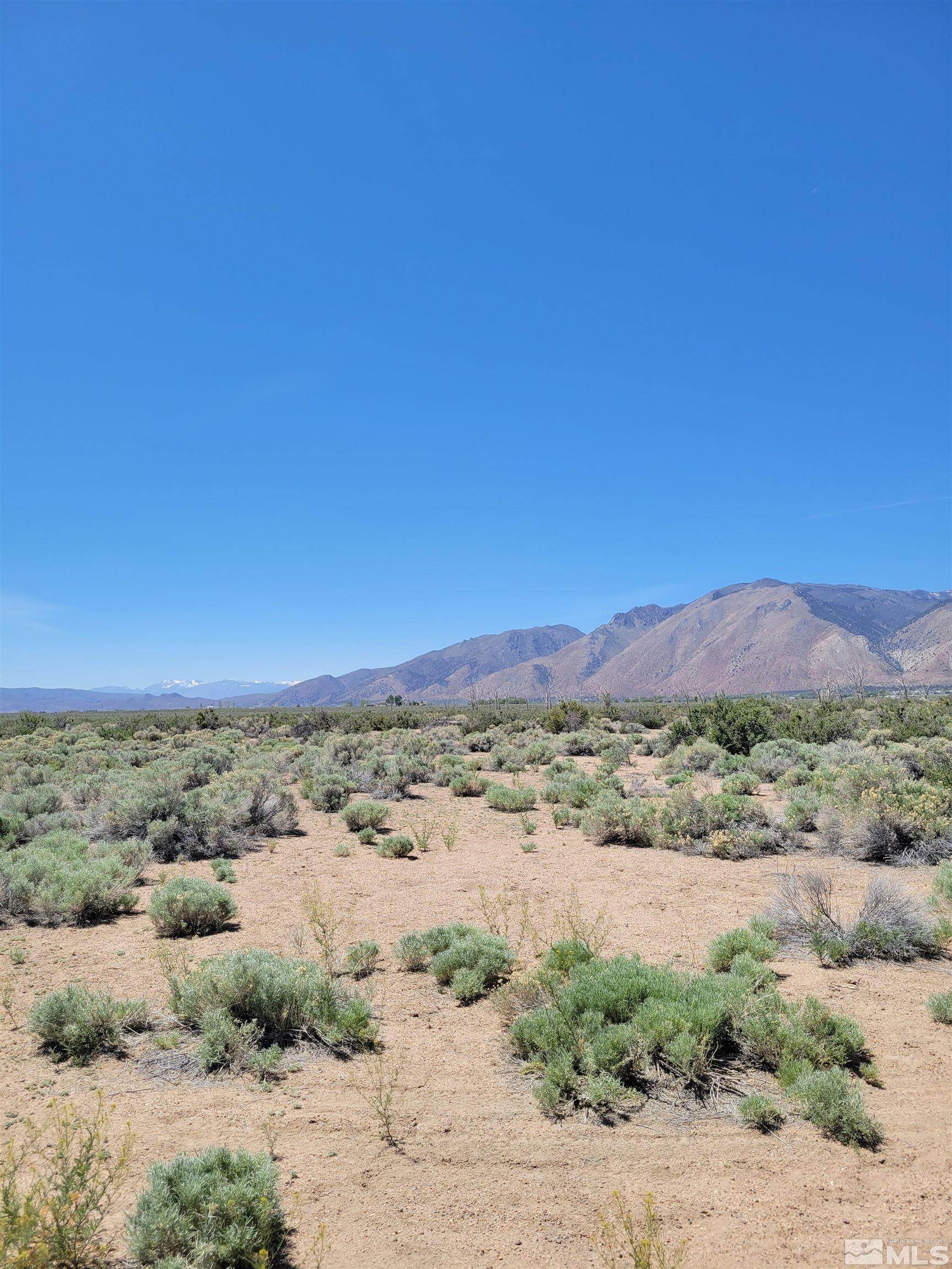 Land for Active at APN 010-151-14 Wellington, Nevada 89444 United States
