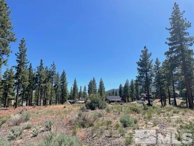 3. Land for Active at 287 Mill Race Loop Carson City, Nevada 89705 United States