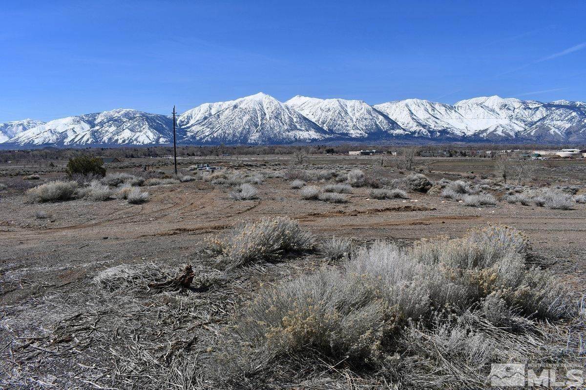 Land for Active at 1679 Timber Court Gardnerville, Nevada 89410 United States
