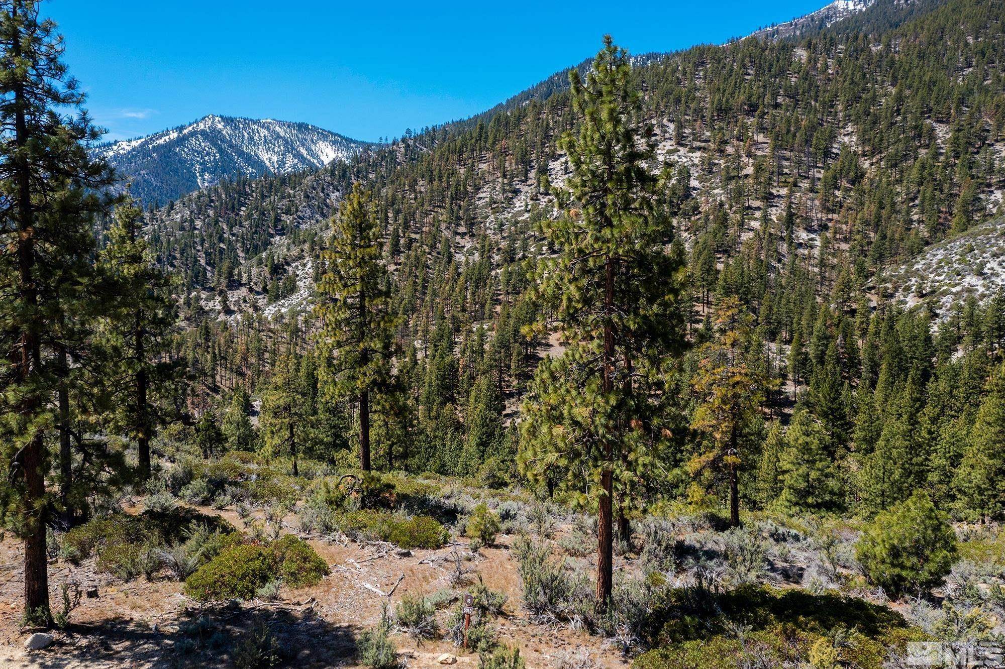 12. Land for Active at 3523 Knob Point Trail Carson City, Nevada 89705 United States
