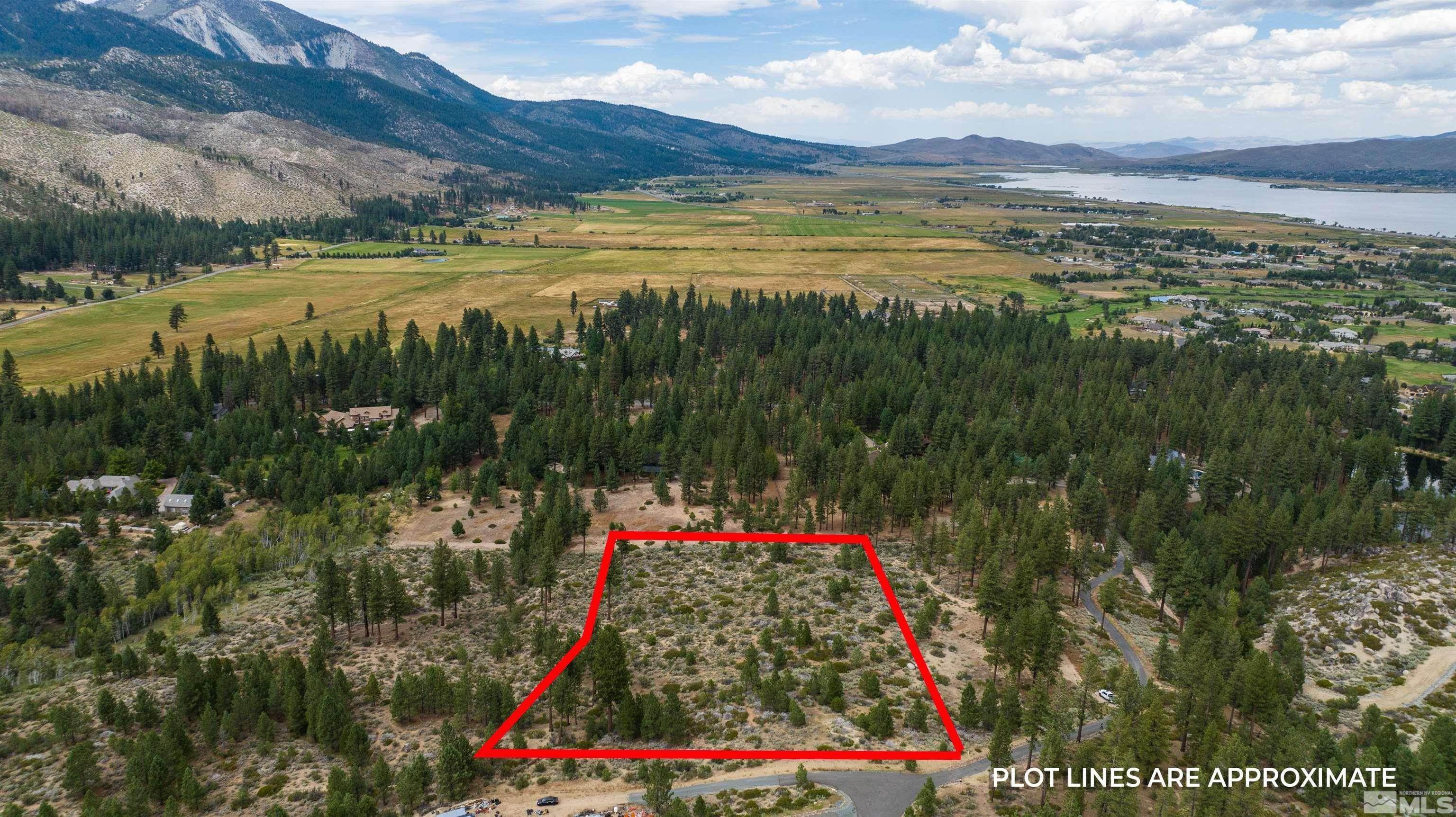 4. Land for Active at 7155 Pine Canyon Road Washoe Valley, Nevada 89704 United States