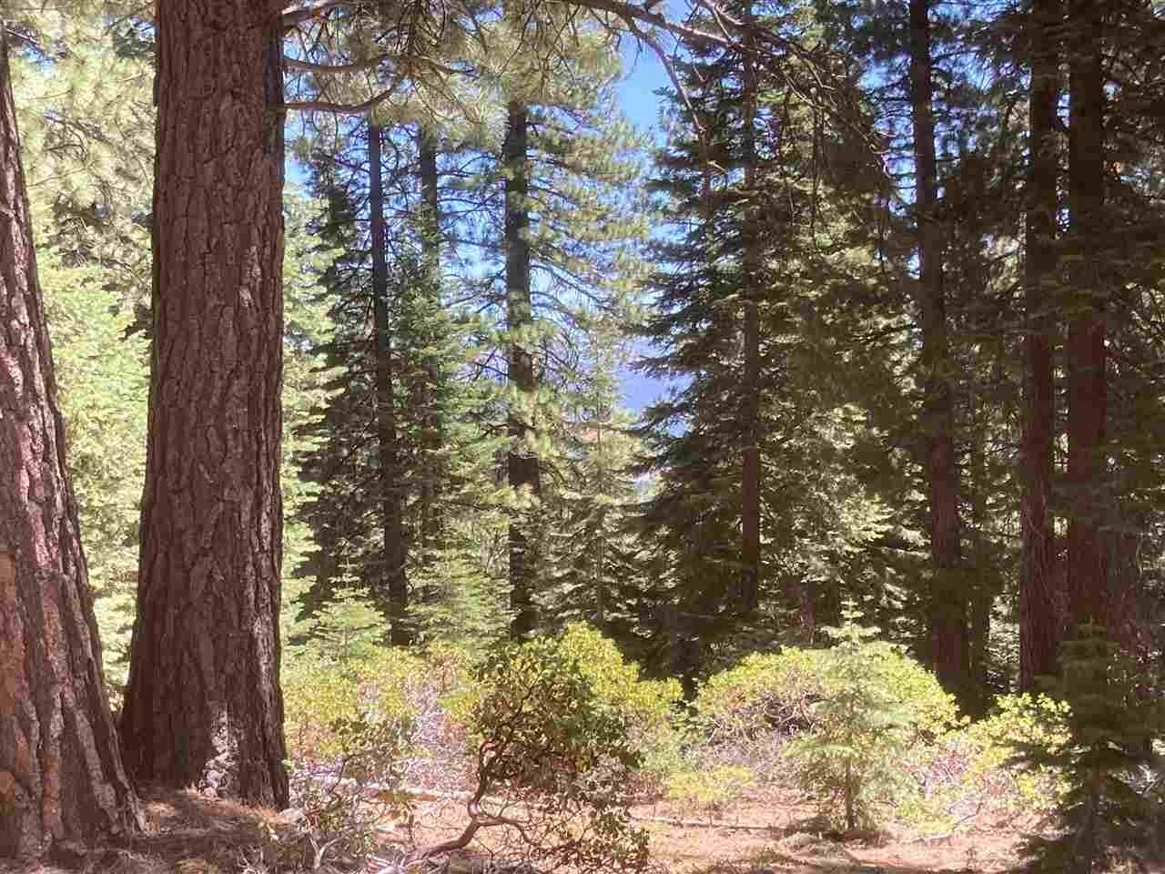 12. Land for Active at 10829 Barnes Drive Truckee, California 96161 United States