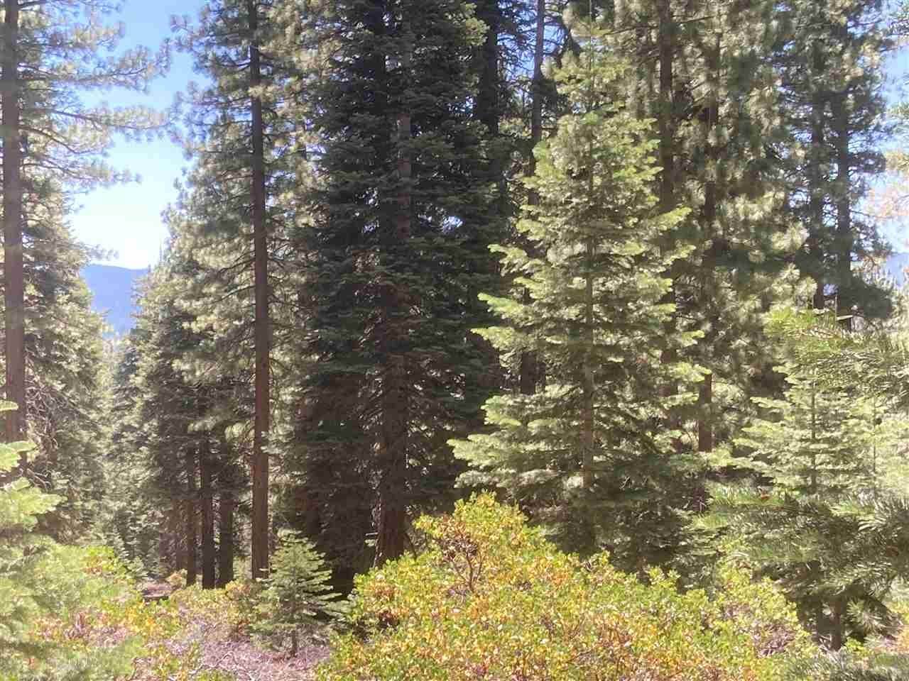 9. Land for Active at 10829 Barnes Drive Truckee, California 96161 United States