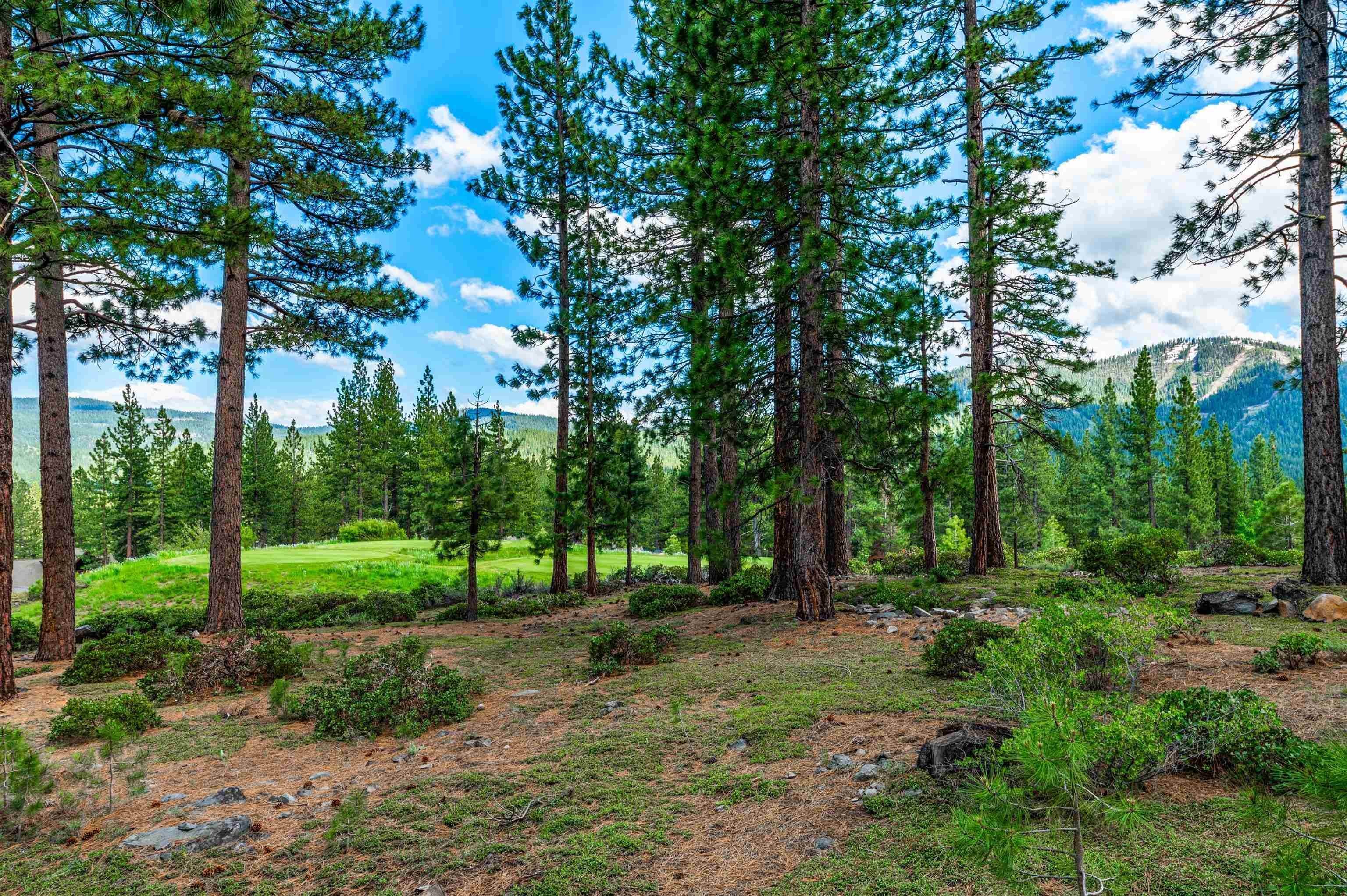 2. Land for Active at 408 James McIver Truckee, California 96161 United States