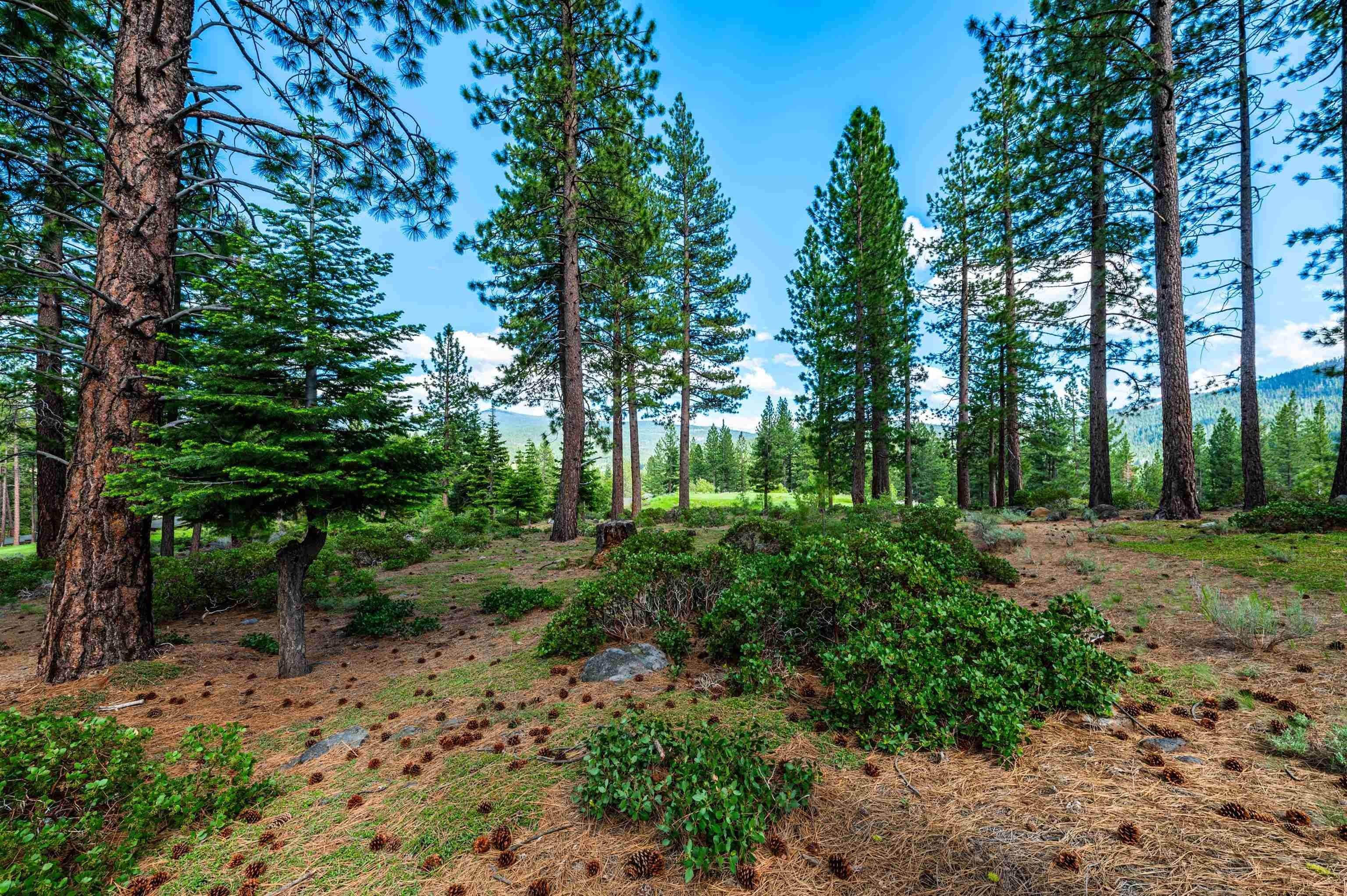 6. Land for Active at 408 James McIver Truckee, California 96161 United States
