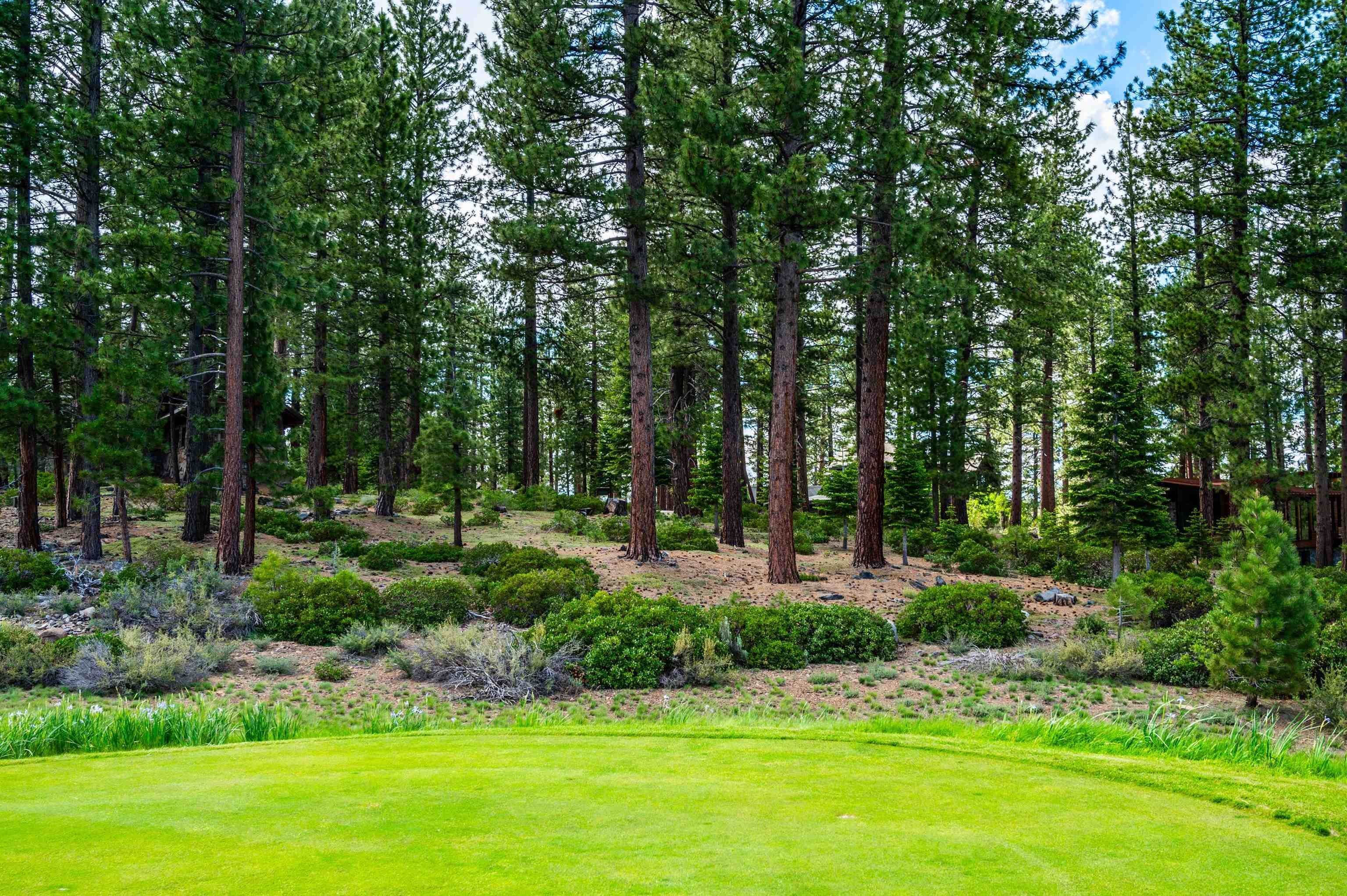 8. Land for Active at 408 James McIver Truckee, California 96161 United States