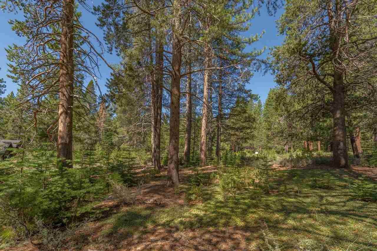 3. Single Family Homes for Active at 11861 Bottcher Loop Truckee, California 96161 United States