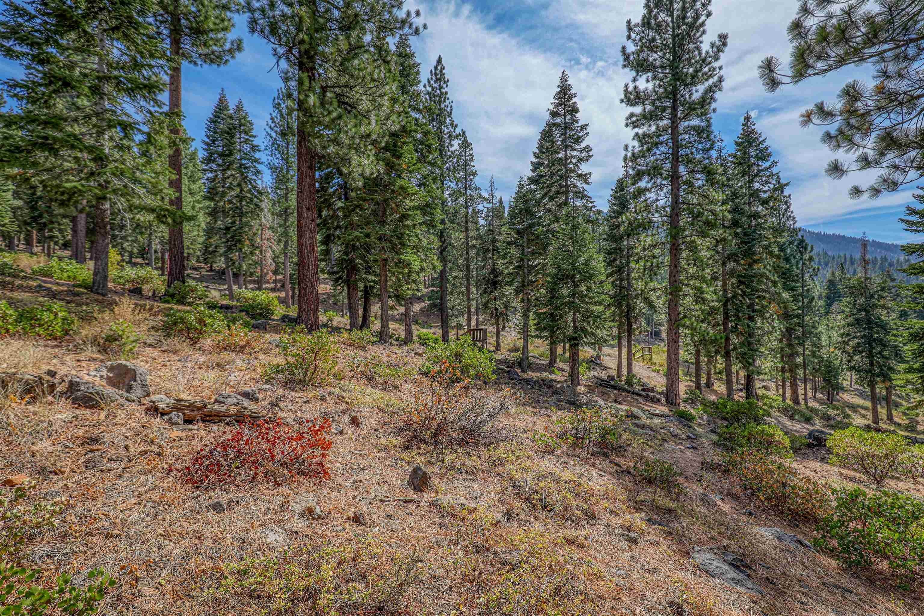 2. Land for Active at 2645 Mill Site Road Truckee, California 96161 United States