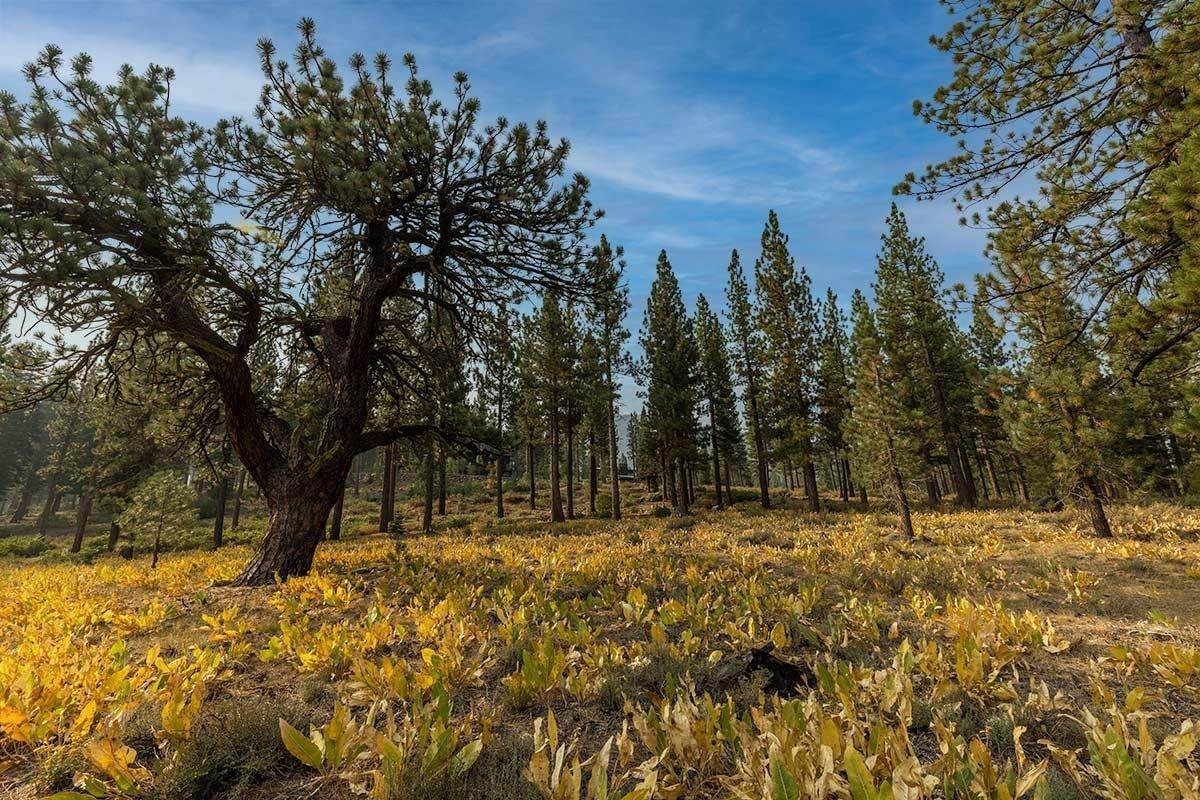 Land for Active at 8297 Ehrman Drive Truckee, California 96161 United States
