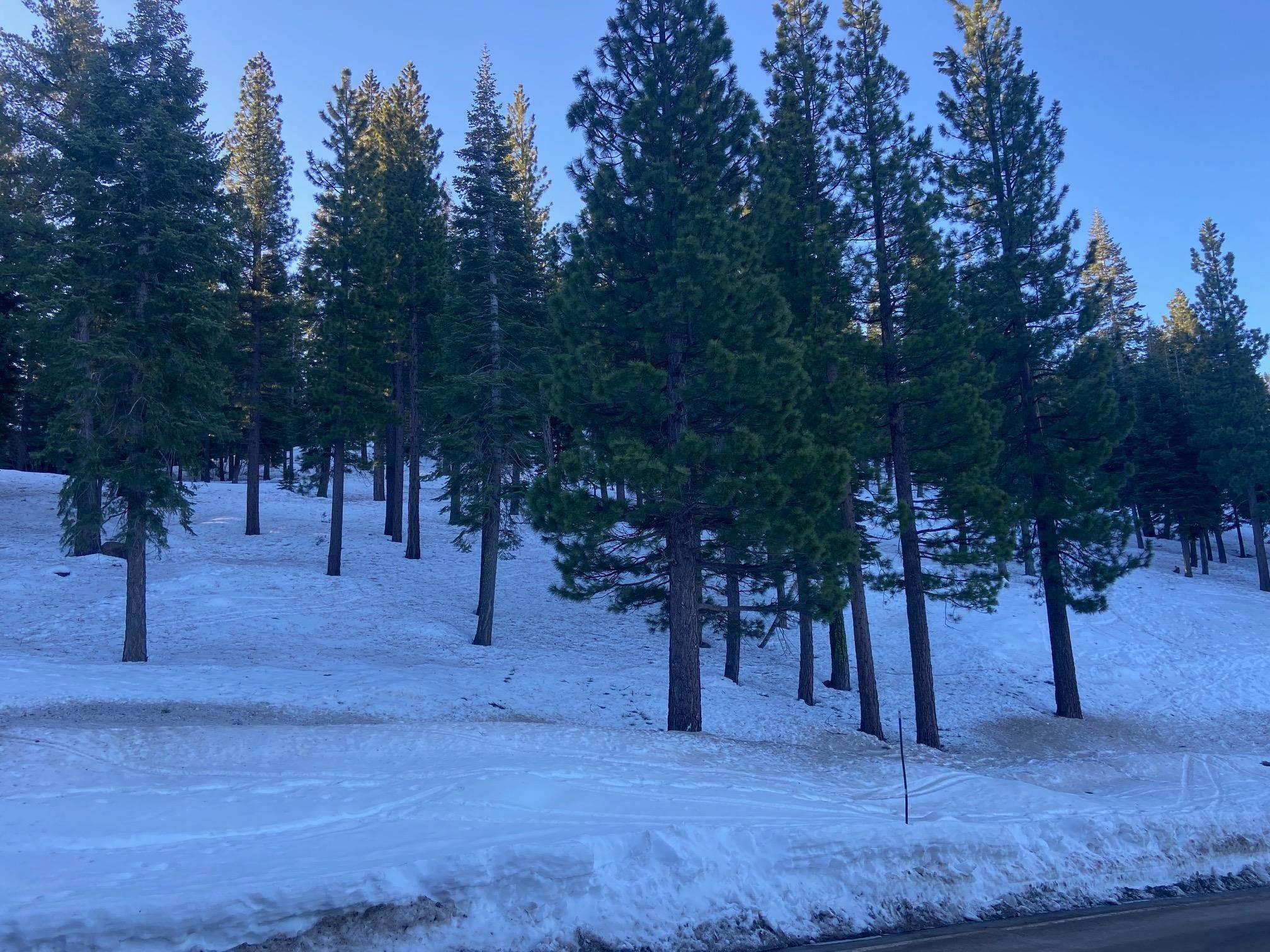 15. Land for Active at 2640 Mill Site Road Truckee, California 96161 United States