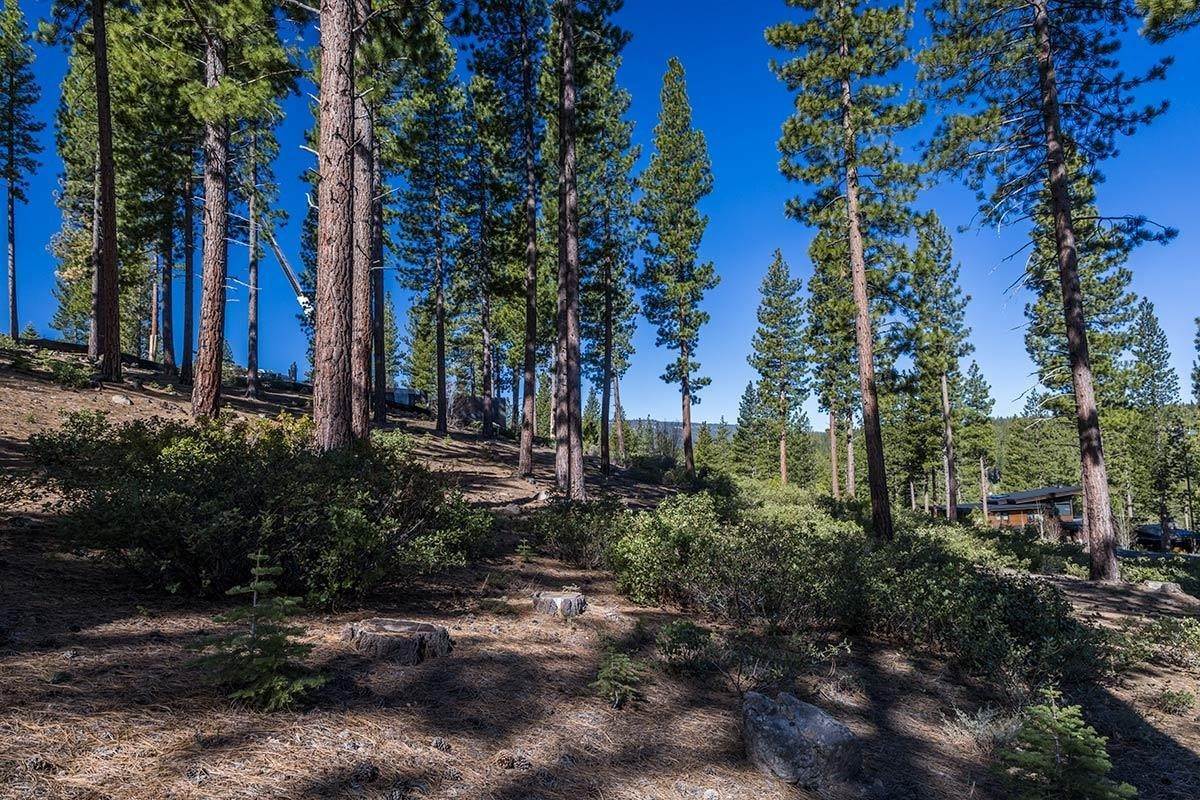 Land for Active at 8107 Fallen Leaf Way Truckee, California 96161 United States
