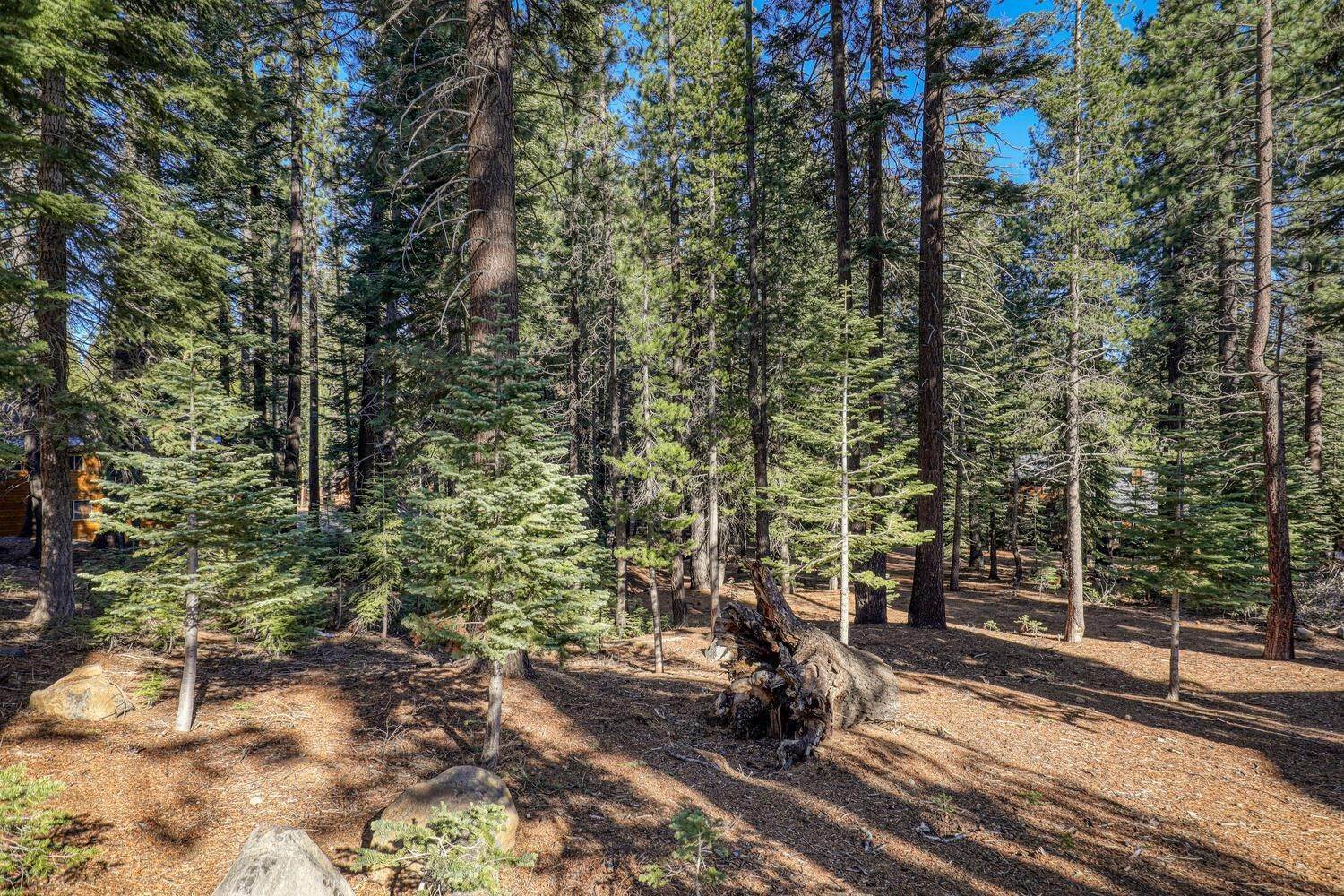20. Single Family Homes for Active at 11939 Rhineland Avenue Truckee, California 96161 United States