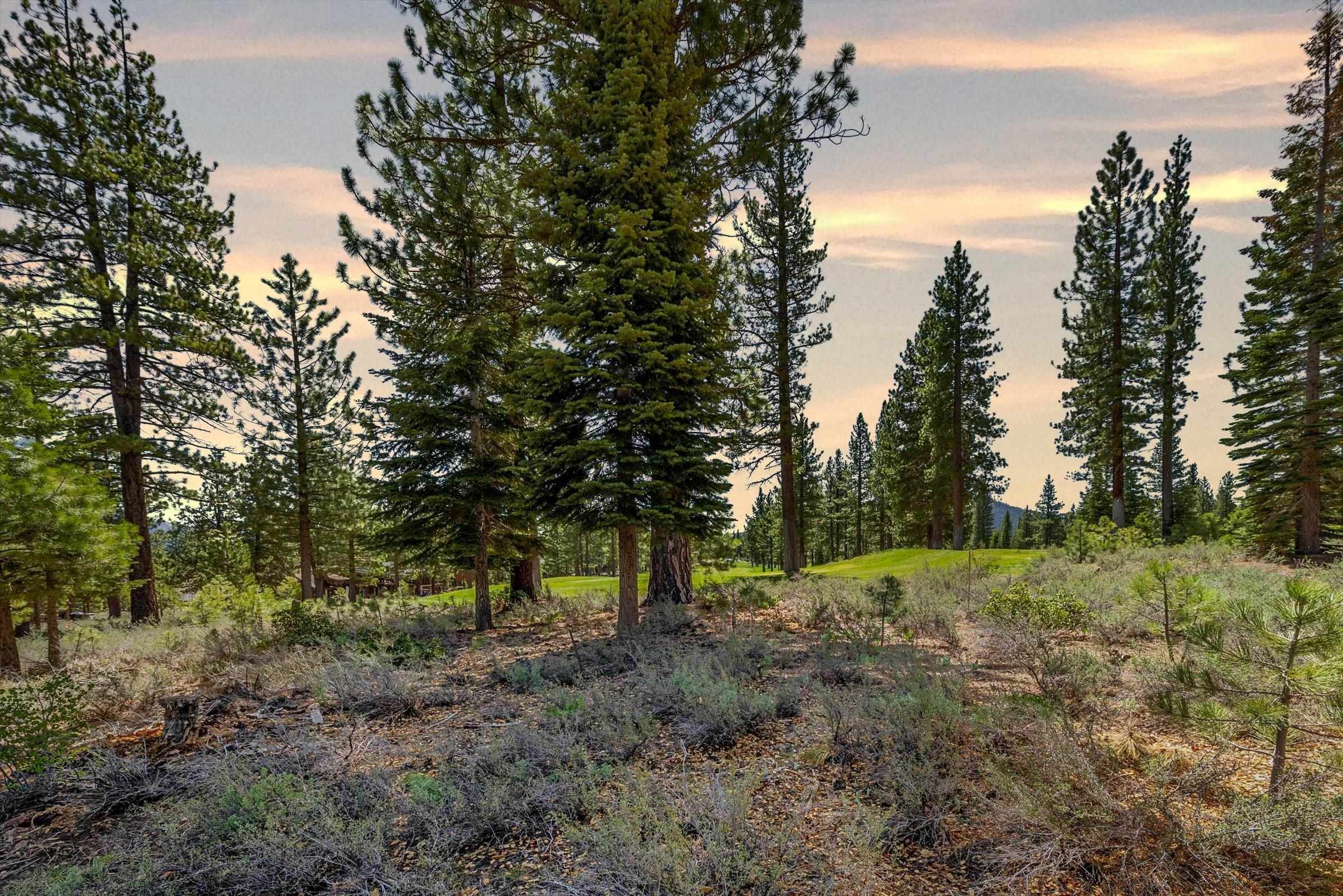 6. Land for Active at 9344 Heartwood Drive Truckee, California 96161 United States