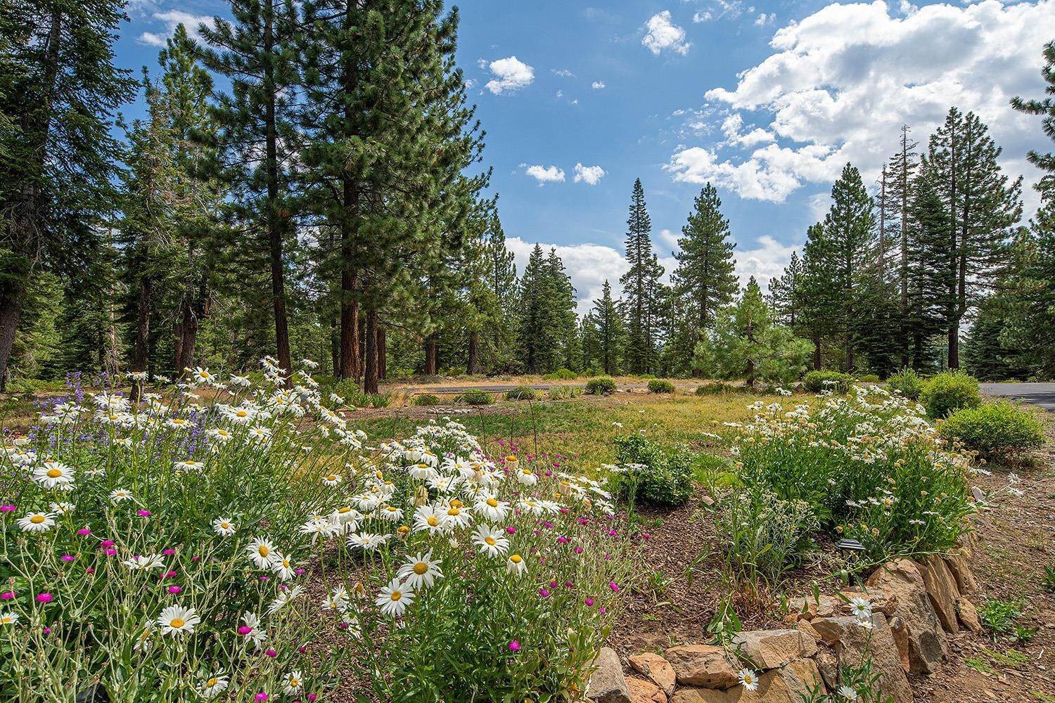 11. Single Family Homes for Active at 13195 Brookstone Drive Truckee, California 96161 United States