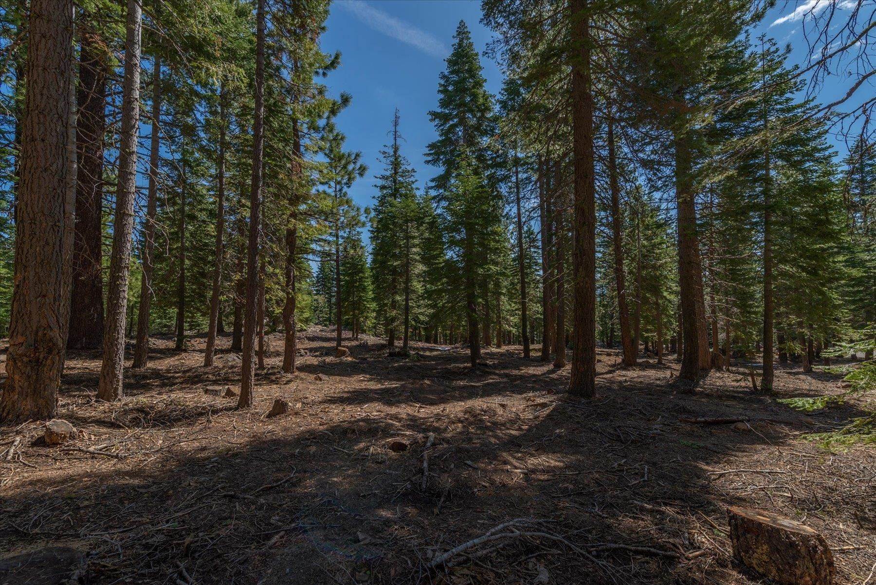 2. Land for Active at 11625 Lockwood Drive Truckee, California 96161 United States