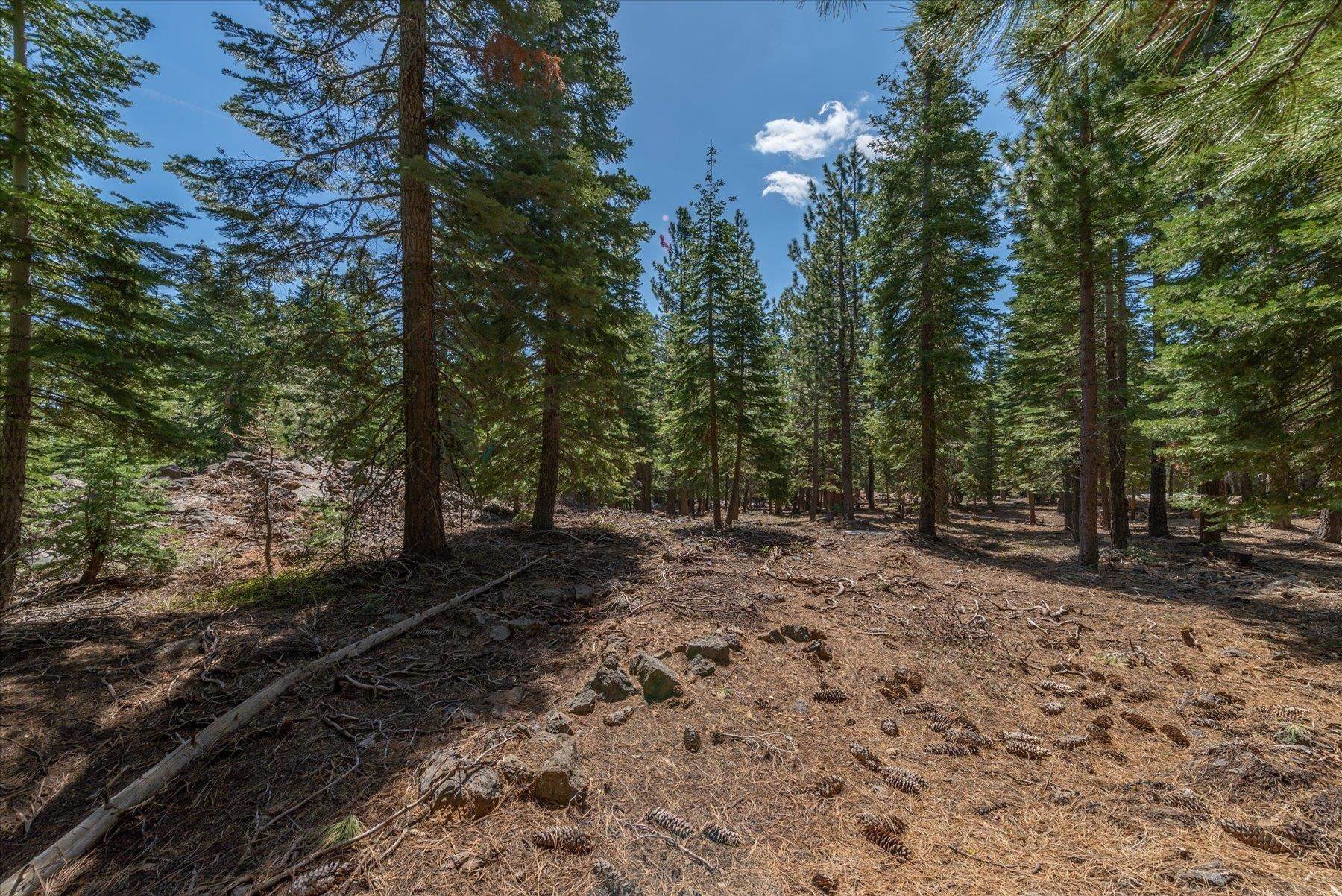 4. Land for Active at 11625 Lockwood Drive Truckee, California 96161 United States