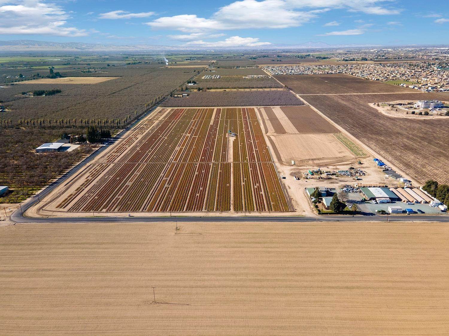 Agricultural Land por un Venta en 9715 Sedan Avenue Manteca, California 95337 Estados Unidos