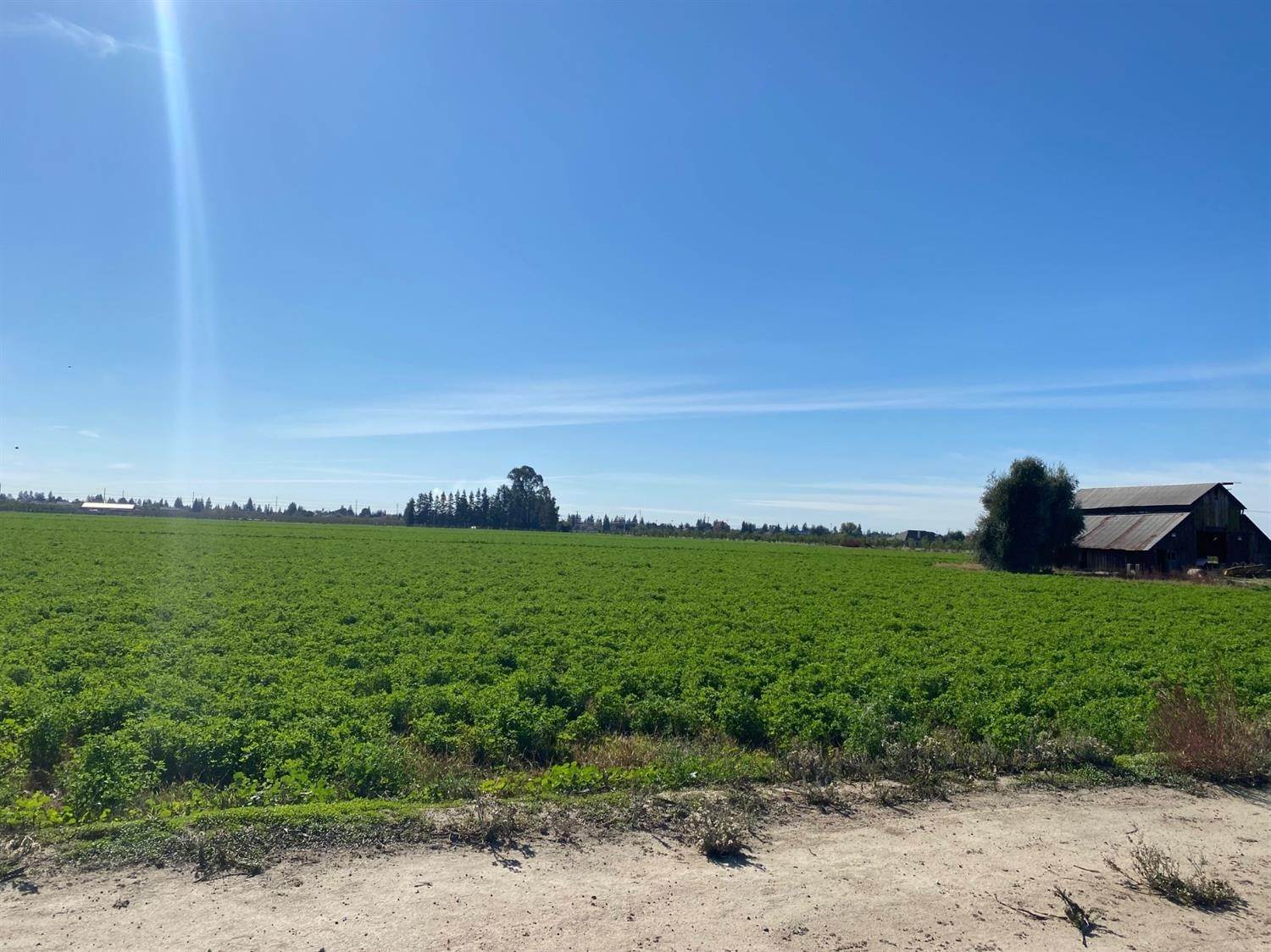 Agricultural Land por un Venta en 424 E Barnhart Road Turlock, California 95382 Estados Unidos