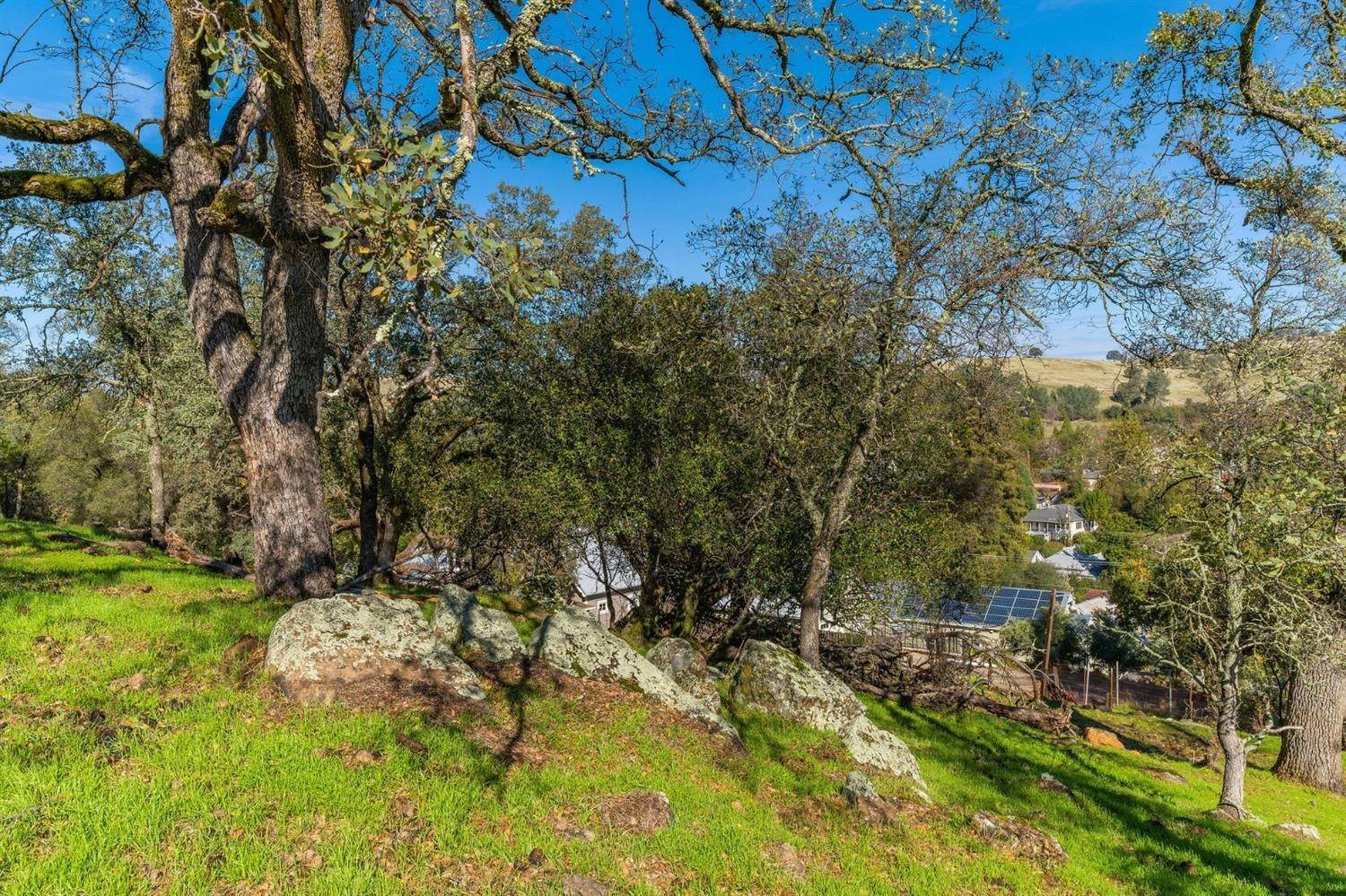 45. Land for Active at 3 Allen Ranch Road Sutter Creek, California 95685 United States