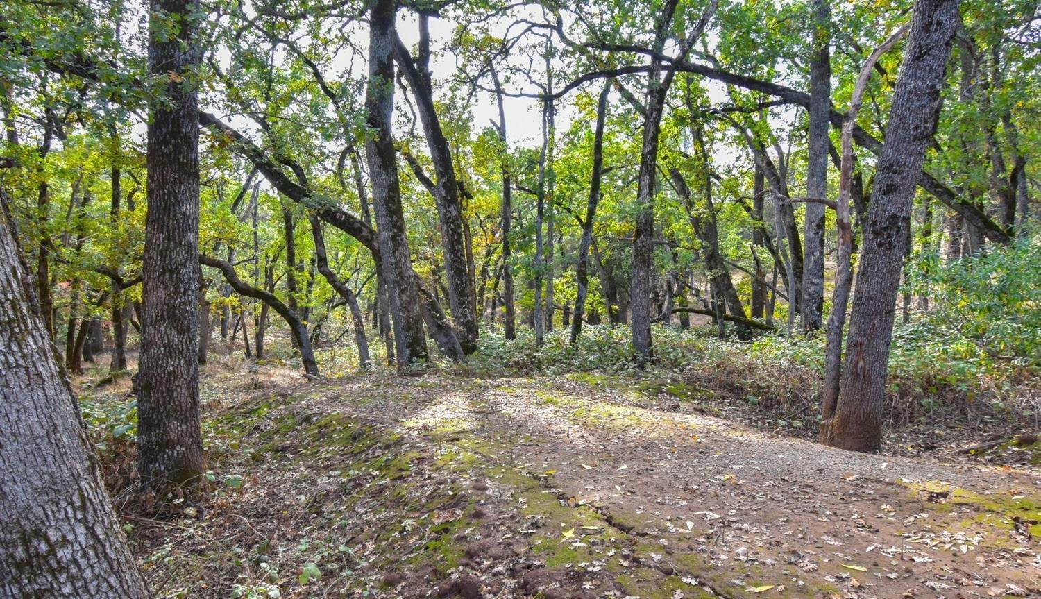 Land for Active at 16811 Anderson Road Tuolumne, California 95379 United States