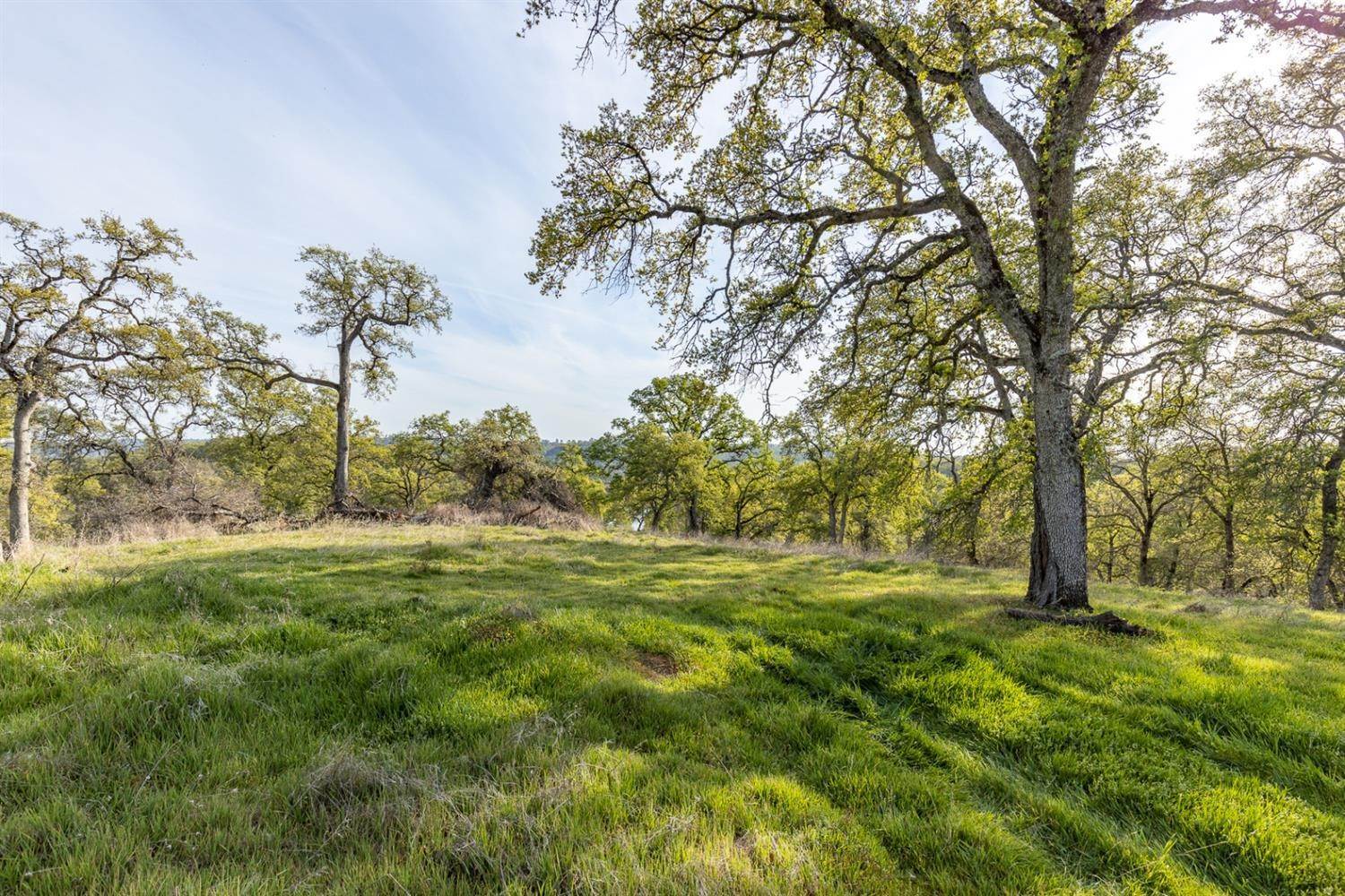 Land for Active at 4300 Wilson Town Road Lincoln, California 95648 United States