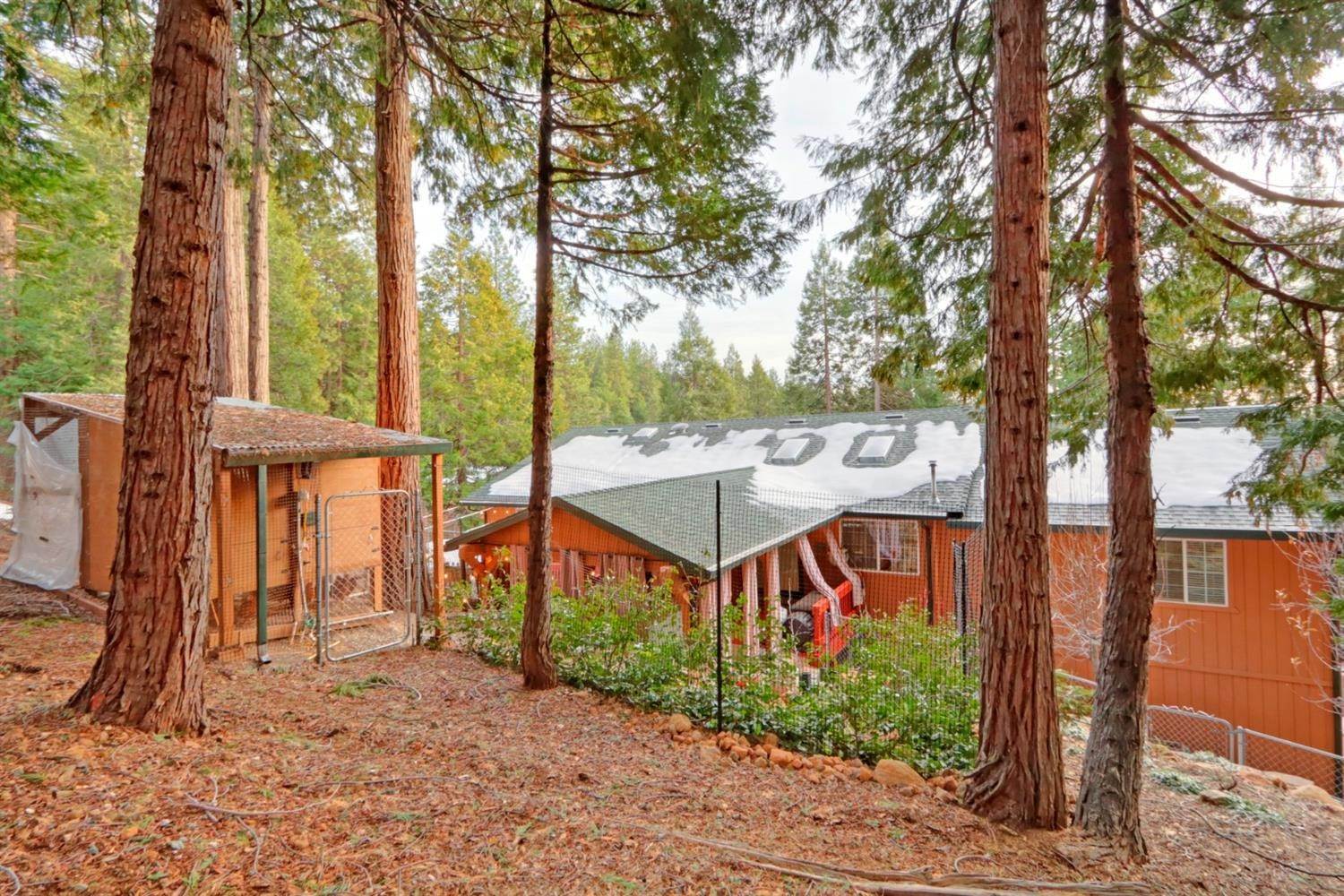 4. Single Family Homes for Active at 7111 Pine Cone Drive Pollock Pines, California 95726 United States