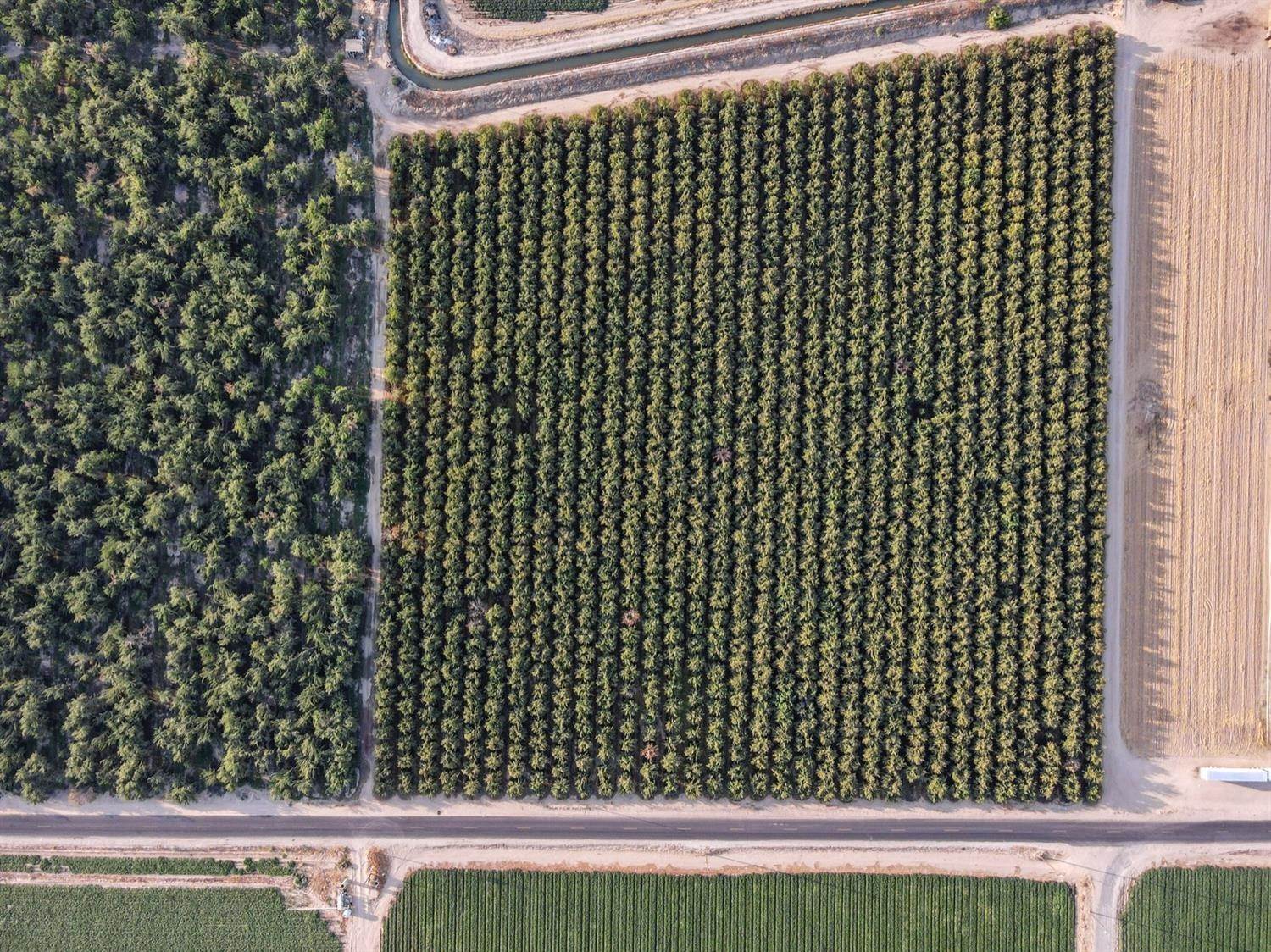 1. Agricultural Land for Active at 14706 Peach Avenue Livingston, California 95334 United States