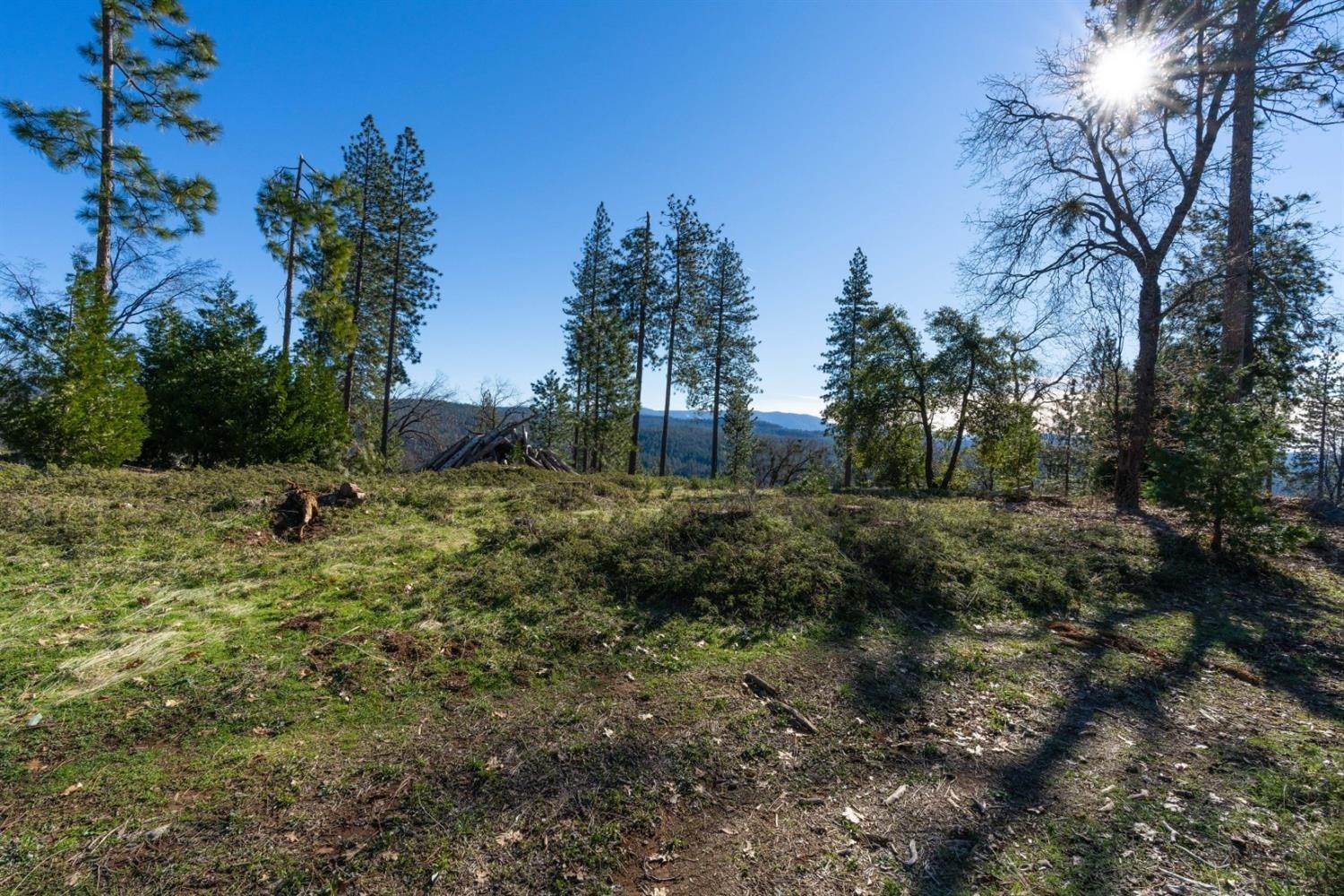 28. Land for Active at 15793 Black Prince Road Pioneer, California 95666 United States