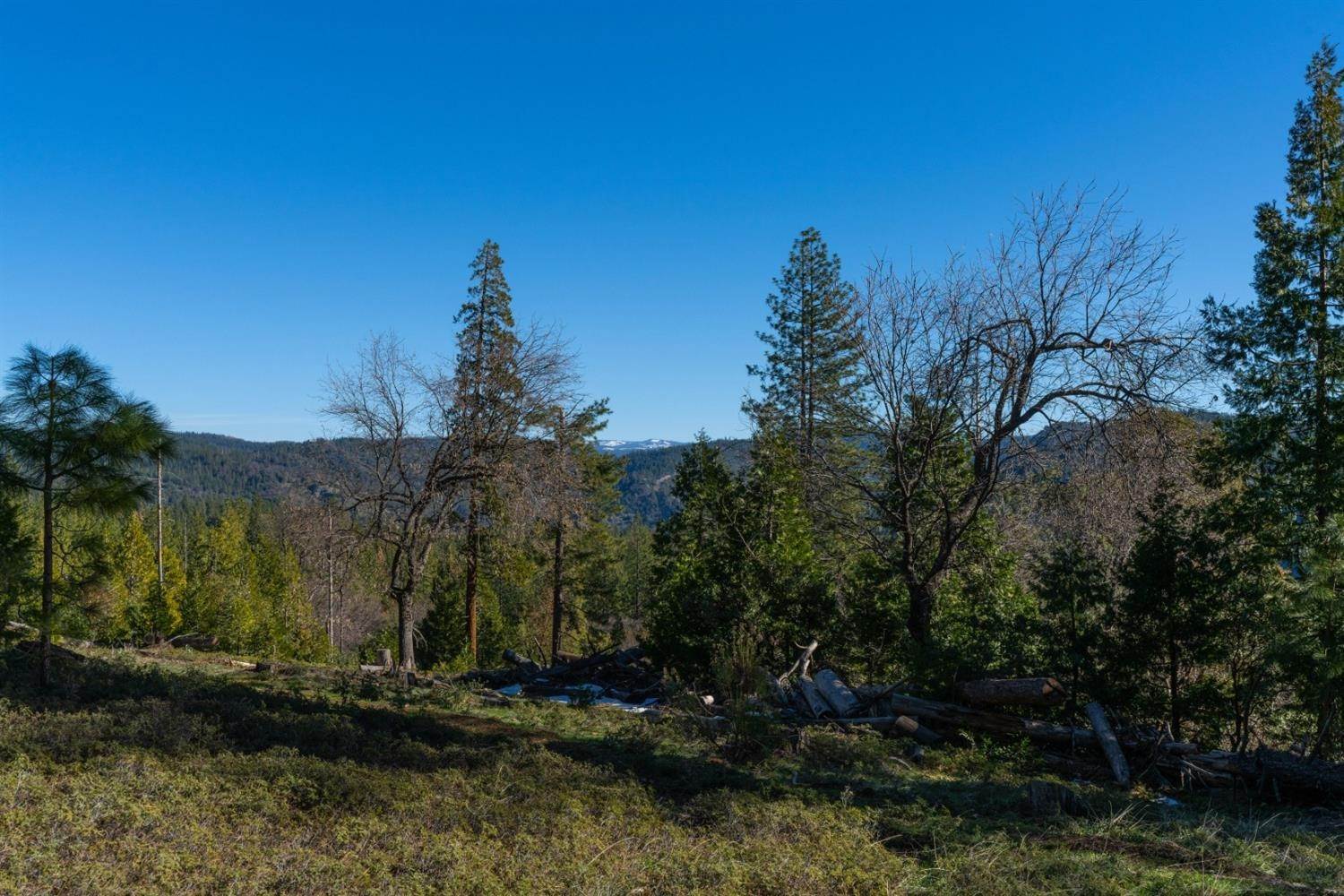 36. Land for Active at 15793 Black Prince Road Pioneer, California 95666 United States