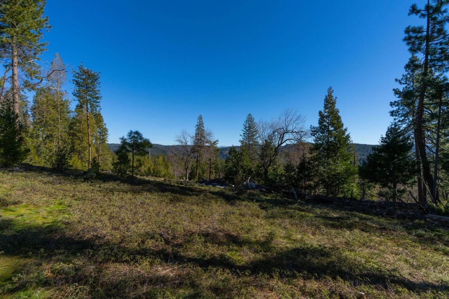 37. Land for Active at 15793 Black Prince Road Pioneer, California 95666 United States