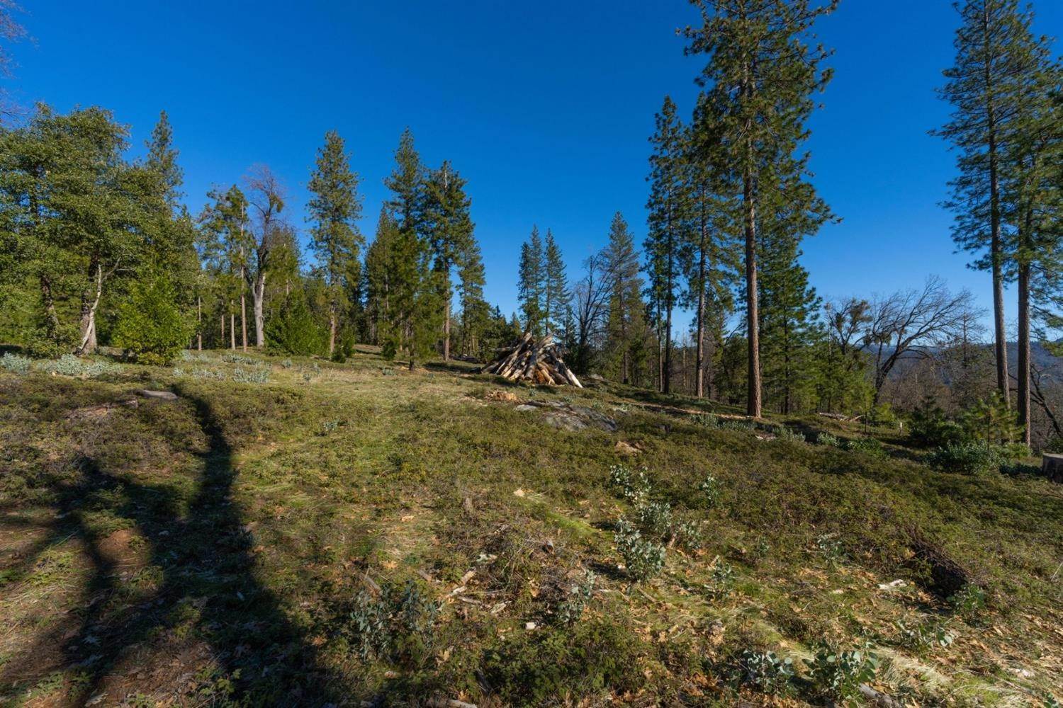 20. Land for Active at 15793 Black Prince Road Pioneer, California 95666 United States