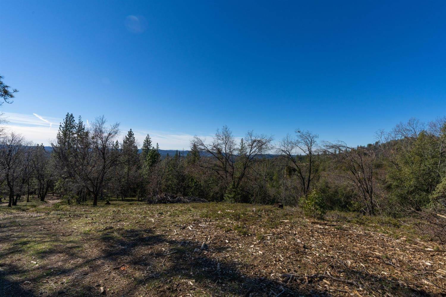 4. Land for Active at 15793 Black Prince Road Pioneer, California 95666 United States