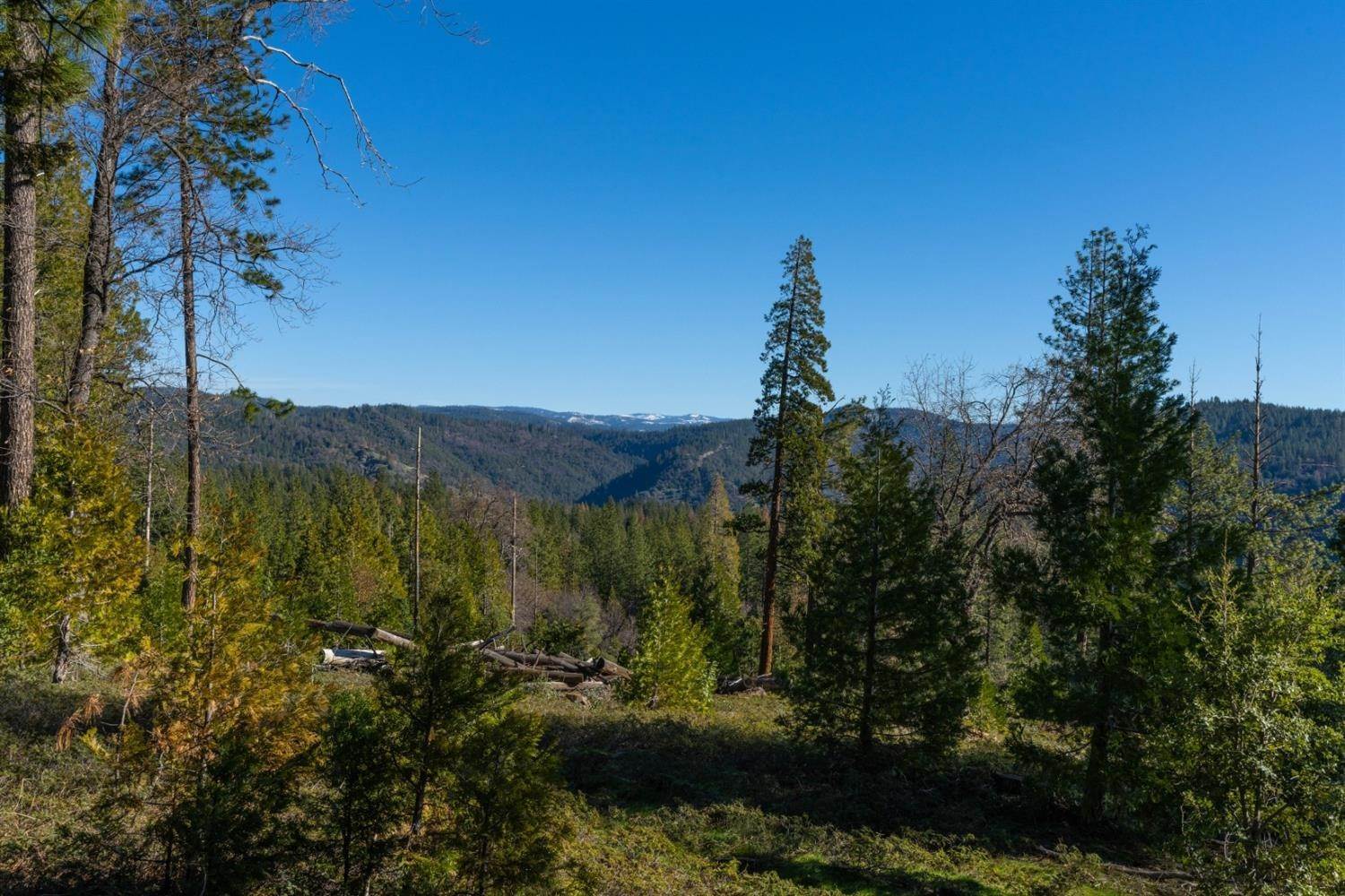 39. Land for Active at 15793 Black Prince Road Pioneer, California 95666 United States